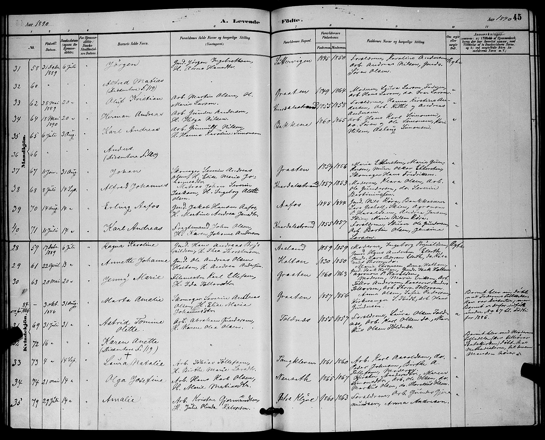 Solum kirkebøker, AV/SAKO-A-306/G/Ga/L0007: Parish register (copy) no. I 7, 1884-1898, p. 45