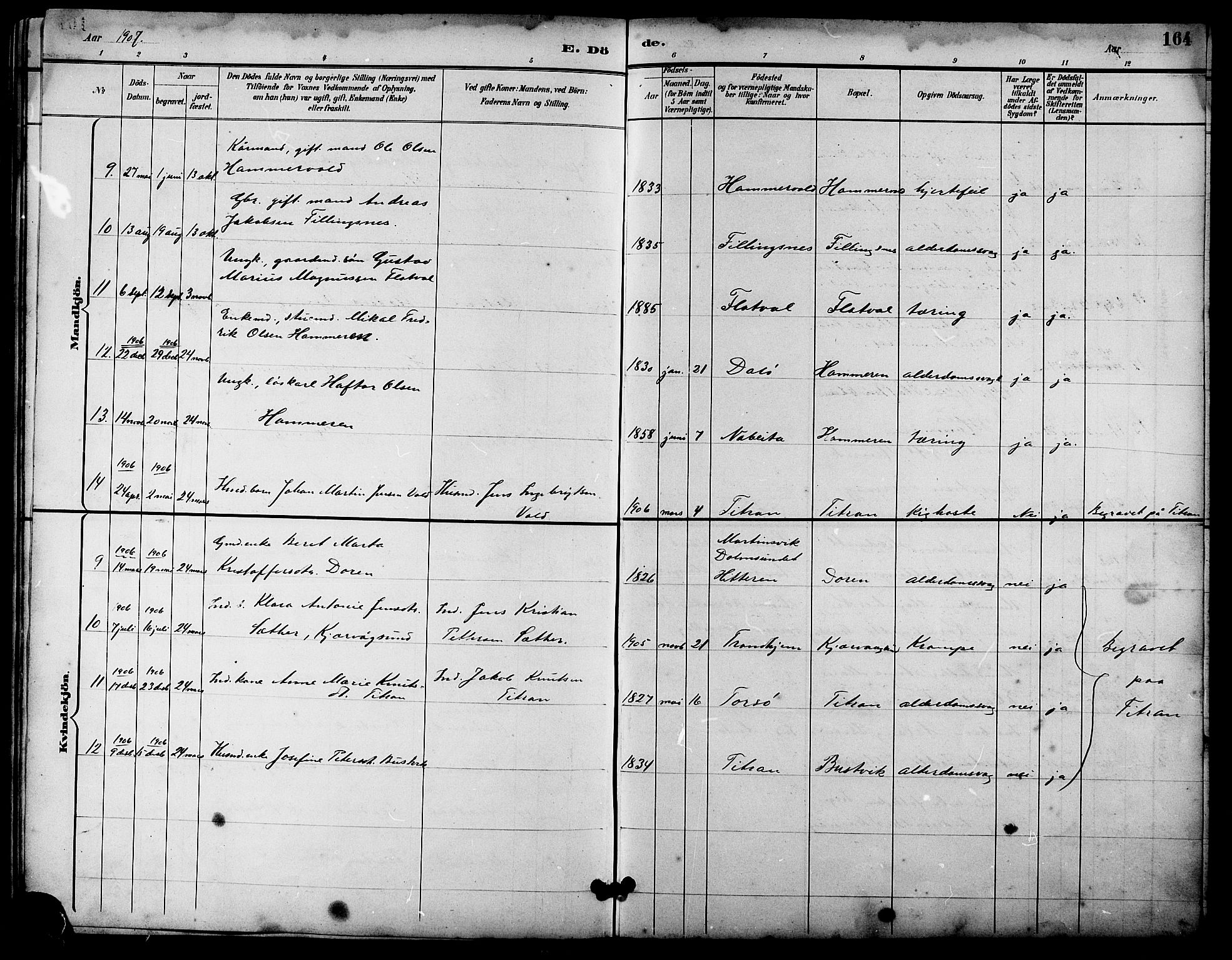 Ministerialprotokoller, klokkerbøker og fødselsregistre - Sør-Trøndelag, AV/SAT-A-1456/641/L0598: Parish register (copy) no. 641C02, 1893-1910, p. 164