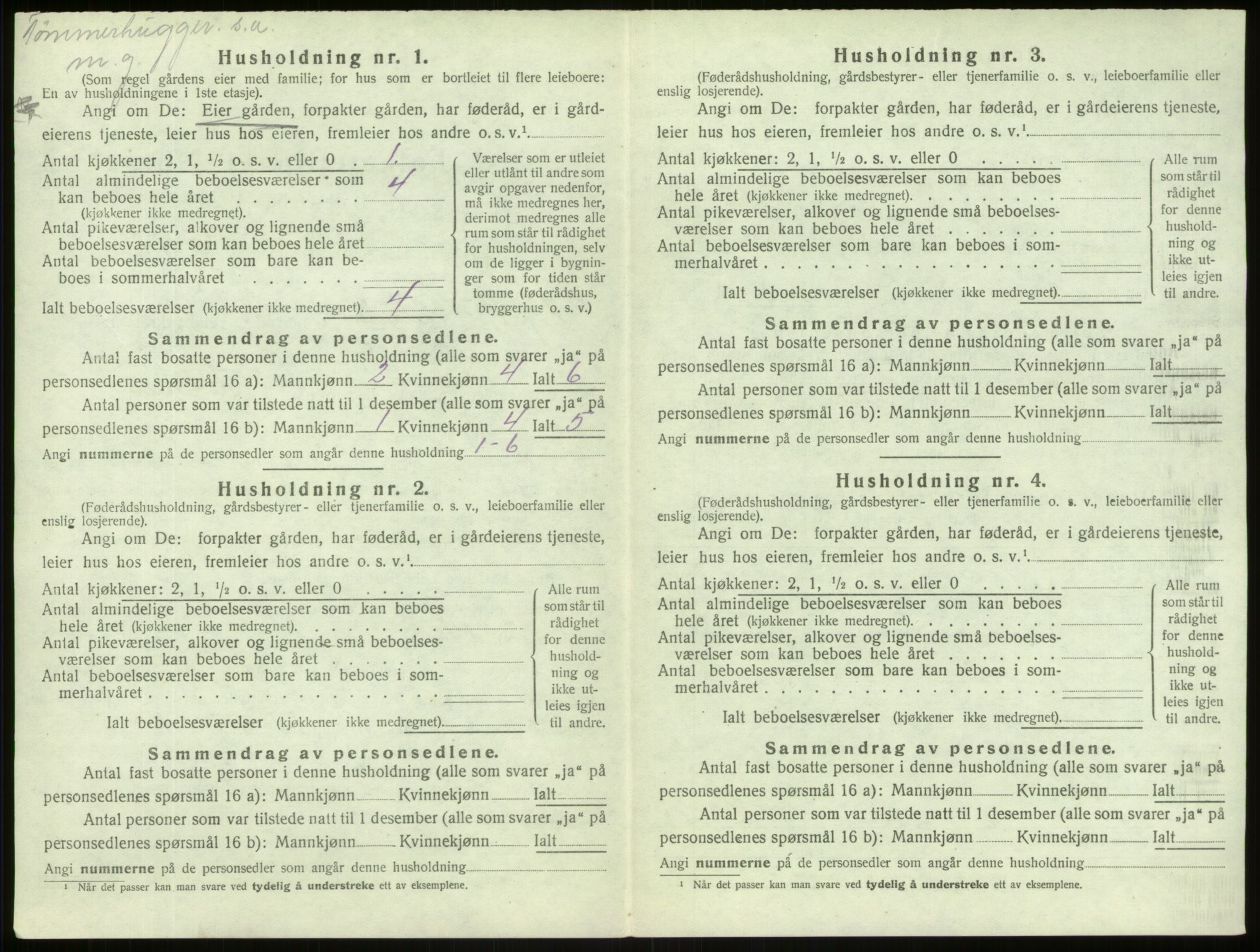 SAB, 1920 census for Lærdal, 1920, p. 523