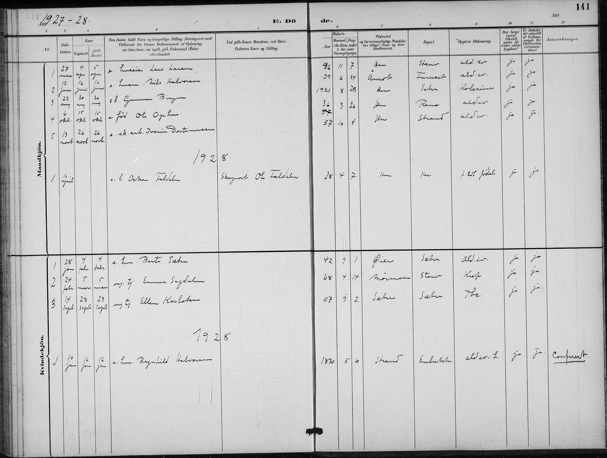 Stor-Elvdal prestekontor, SAH/PREST-052/H/Ha/Hab/L0004: Parish register (copy) no. 4, 1895-1938, p. 141