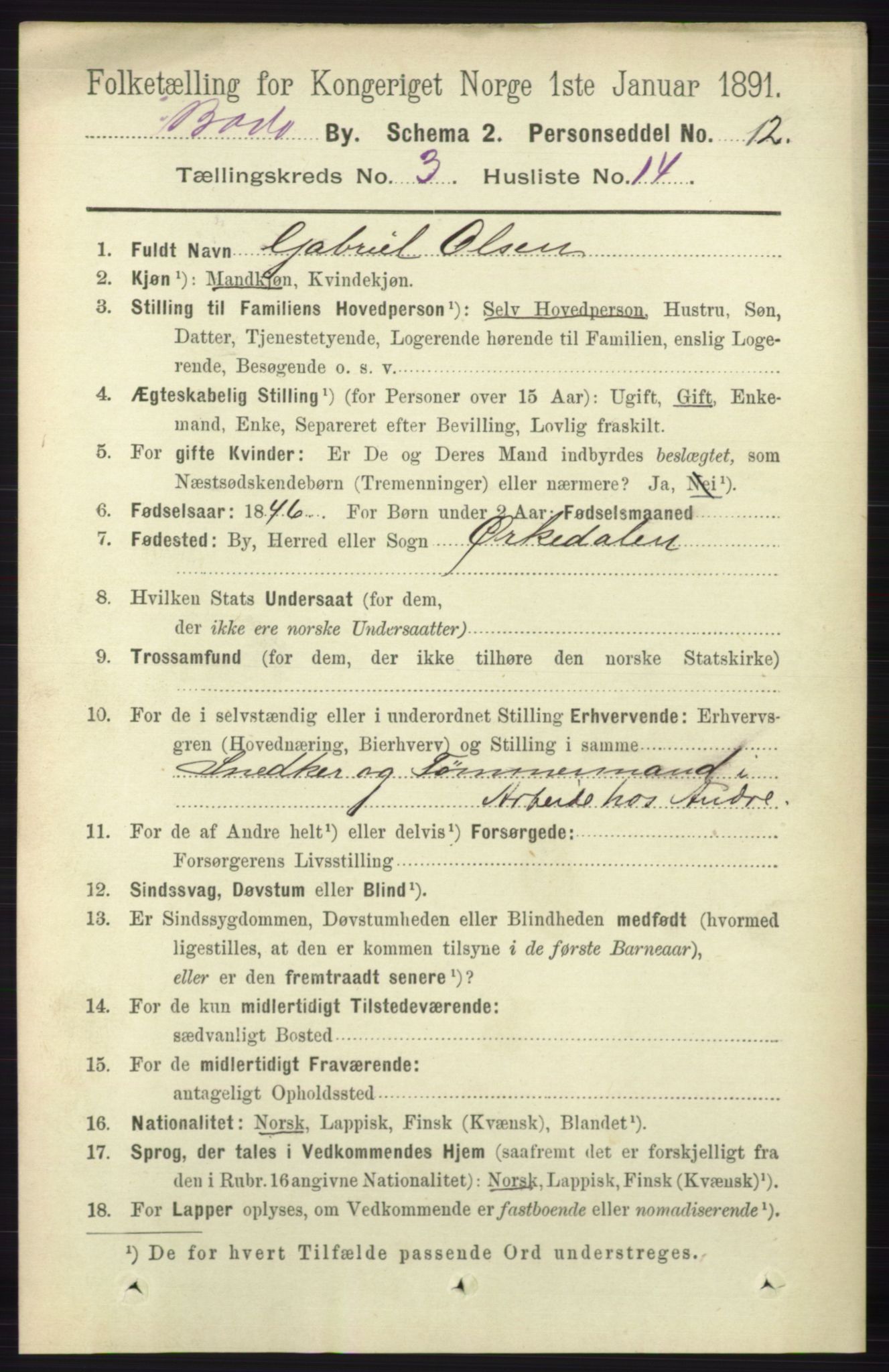 RA, 1891 census for 1804 Bodø, 1891, p. 2191