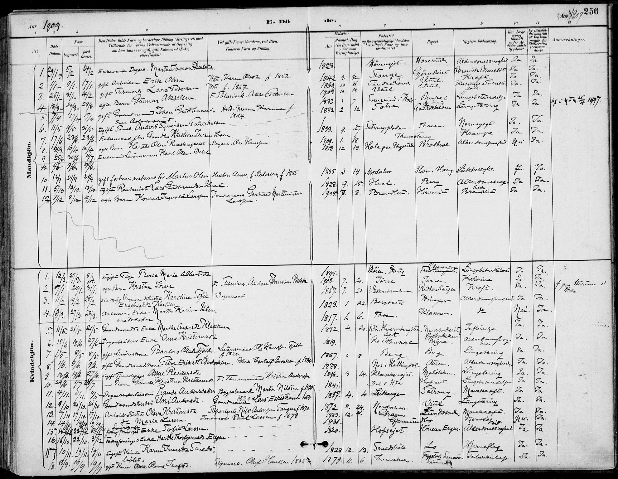 Haug kirkebøker, AV/SAKO-A-604/F/Fa/L0001: Parish register (official) no. 1, 1885-1917, p. 256