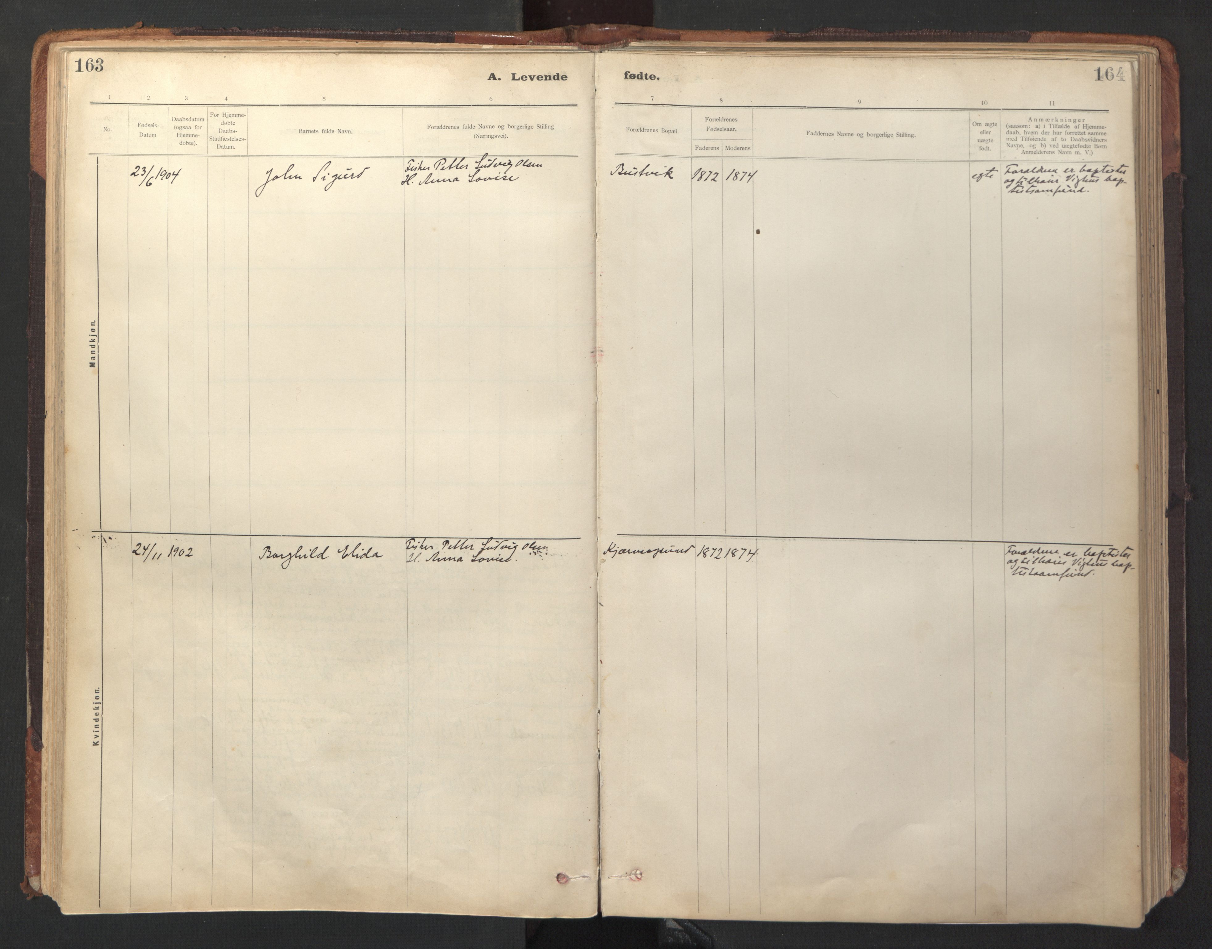 Ministerialprotokoller, klokkerbøker og fødselsregistre - Sør-Trøndelag, SAT/A-1456/641/L0596: Parish register (official) no. 641A02, 1898-1915, p. 163-164