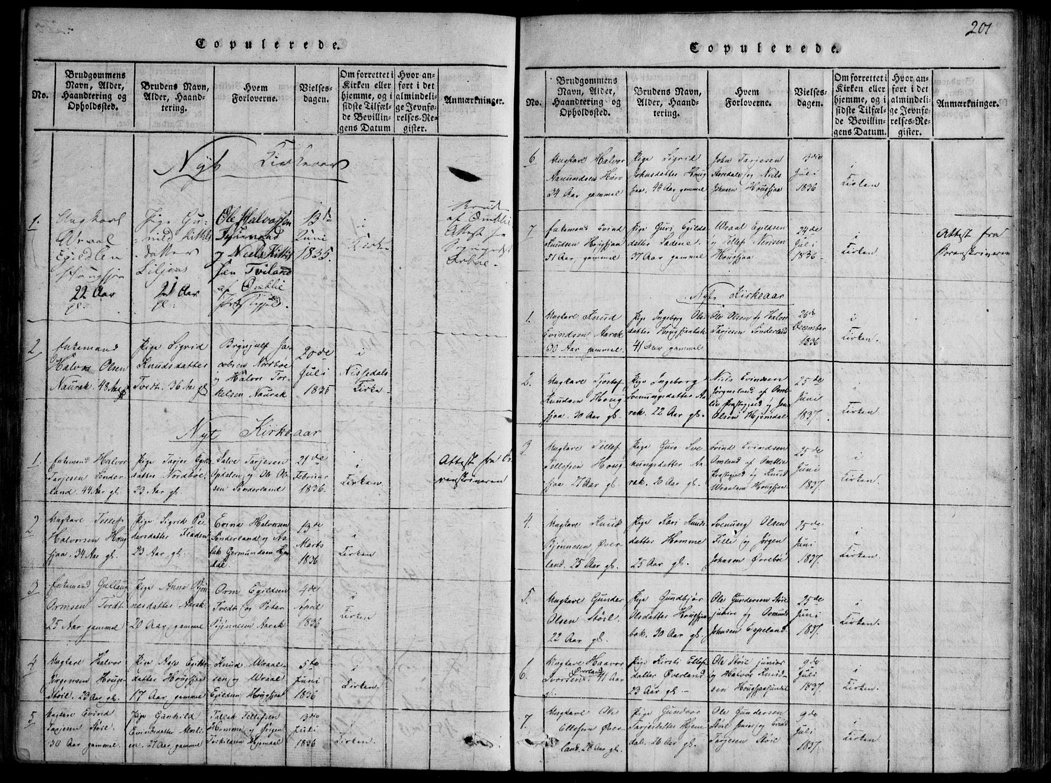 Nissedal kirkebøker, SAKO/A-288/F/Fb/L0001: Parish register (official) no. II 1, 1814-1845, p. 201