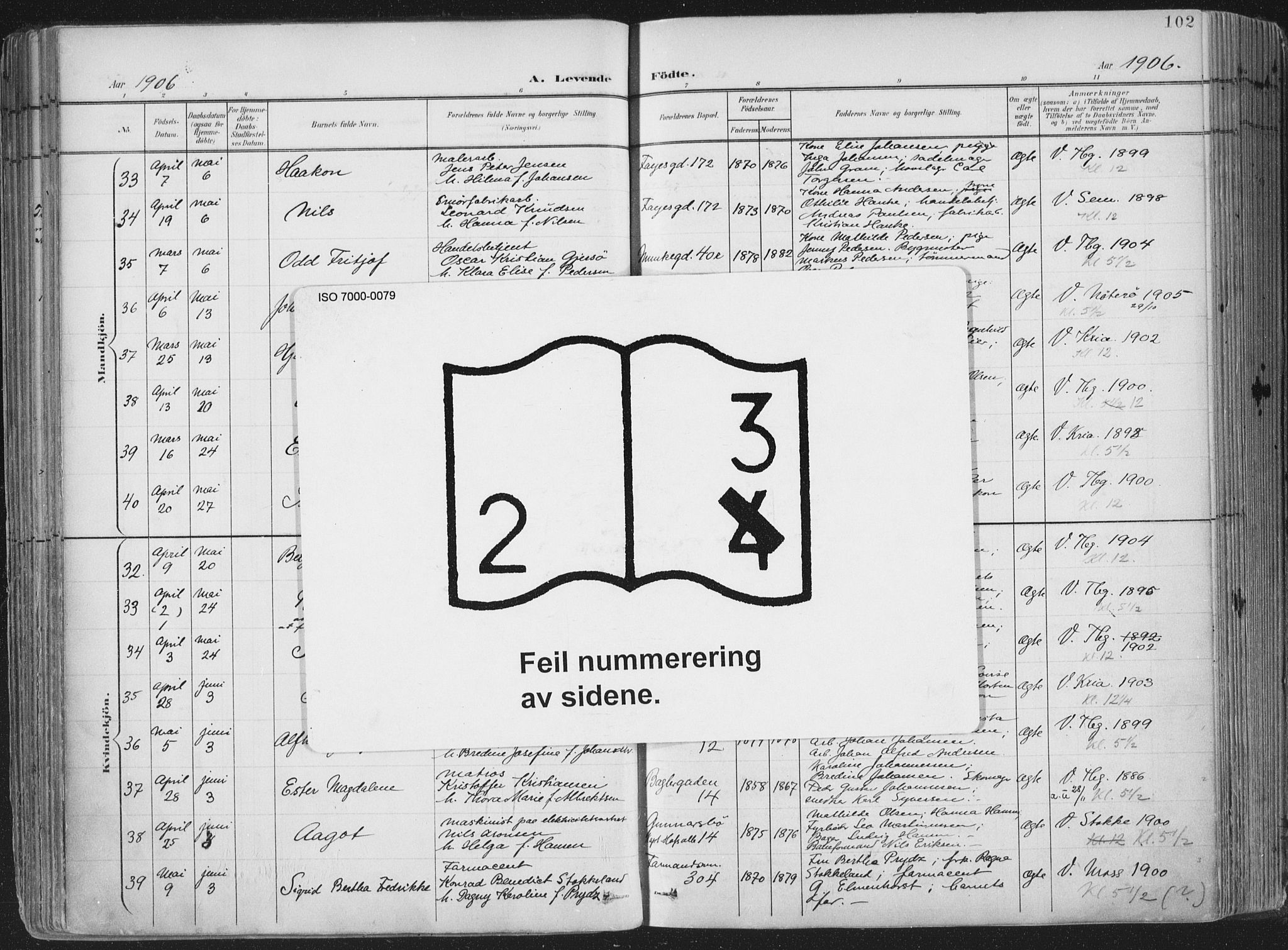 Tønsberg kirkebøker, AV/SAKO-A-330/F/Fa/L0014: Parish register (official) no. I 14, 1900-1913, p. 102