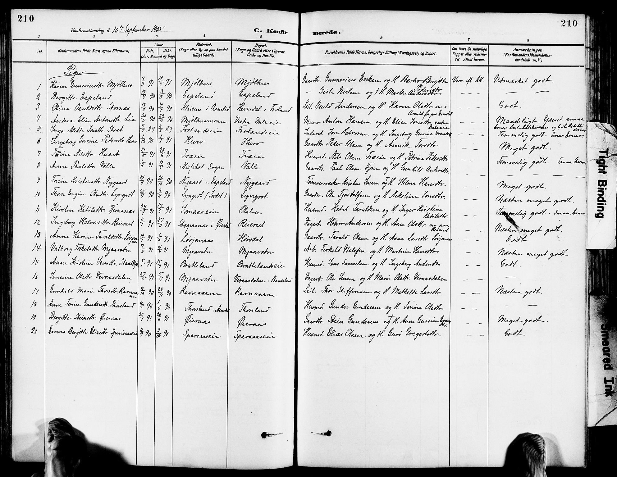 Froland sokneprestkontor, SAK/1111-0013/F/Fb/L0010: Parish register (copy) no. B 10, 1893-1920, p. 210