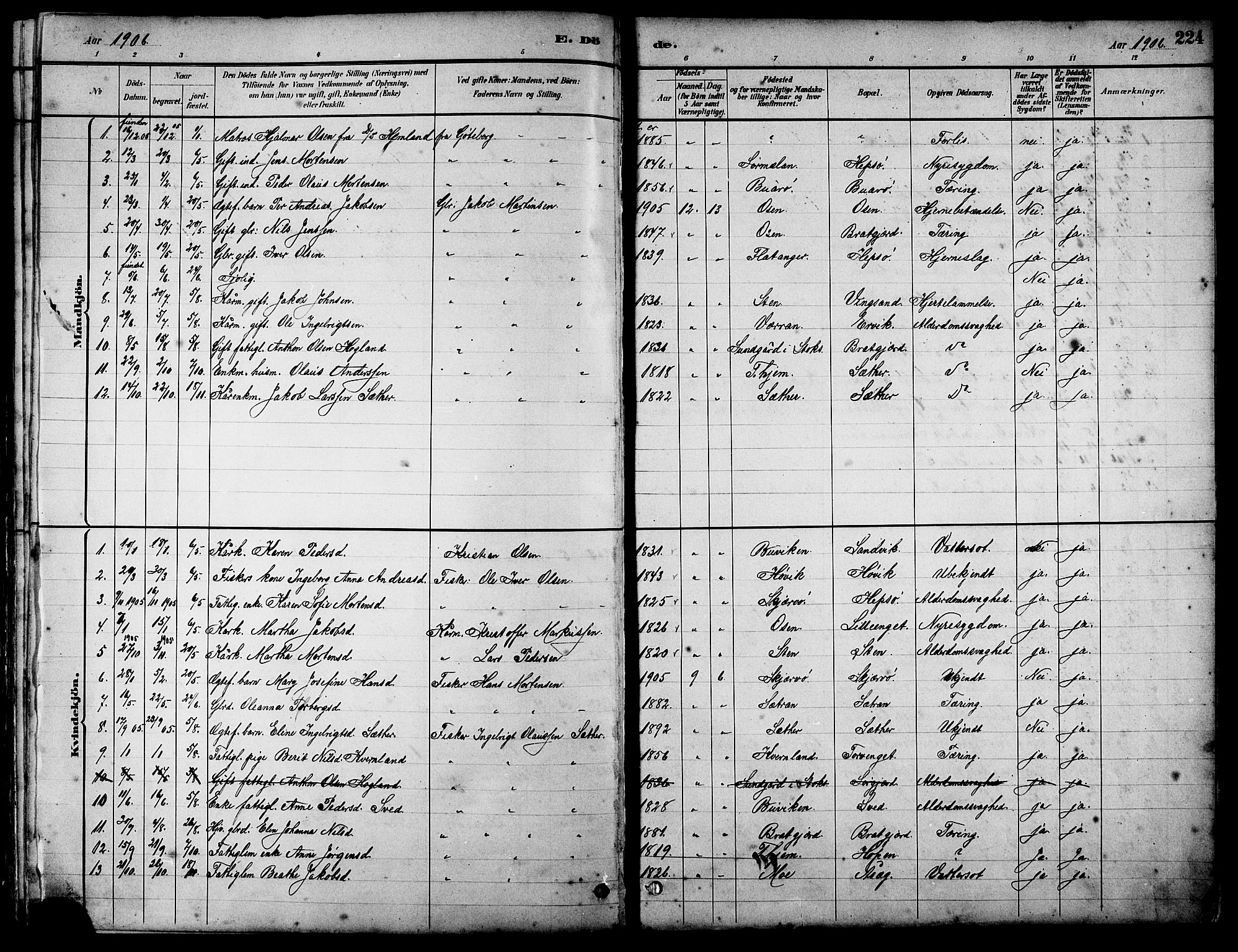 Ministerialprotokoller, klokkerbøker og fødselsregistre - Sør-Trøndelag, SAT/A-1456/658/L0726: Parish register (copy) no. 658C02, 1883-1908, p. 224
