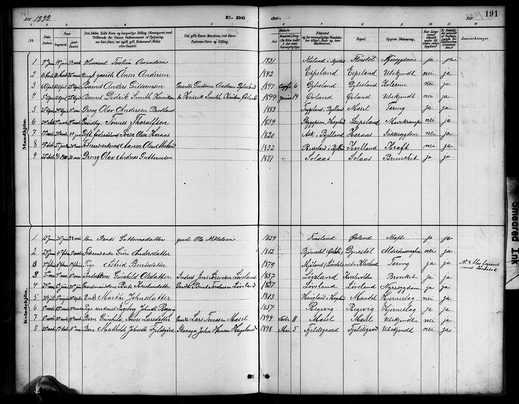 Bjelland sokneprestkontor, SAK/1111-0005/F/Fb/Fbb/L0005: Parish register (copy) no. B 5, 1887-1918, p. 191