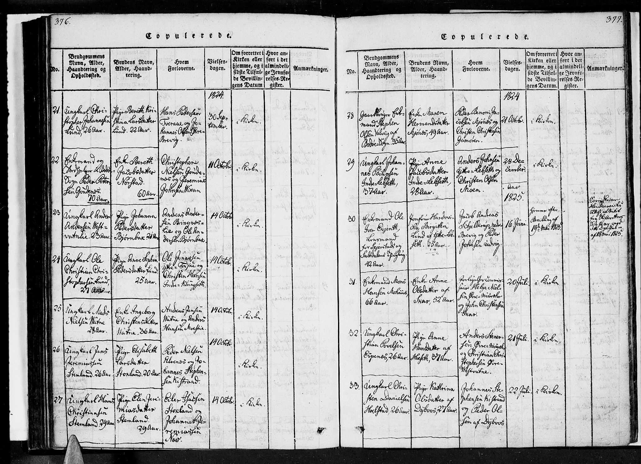 Ministerialprotokoller, klokkerbøker og fødselsregistre - Nordland, SAT/A-1459/852/L0736: Parish register (official) no. 852A06, 1820-1833, p. 376-377