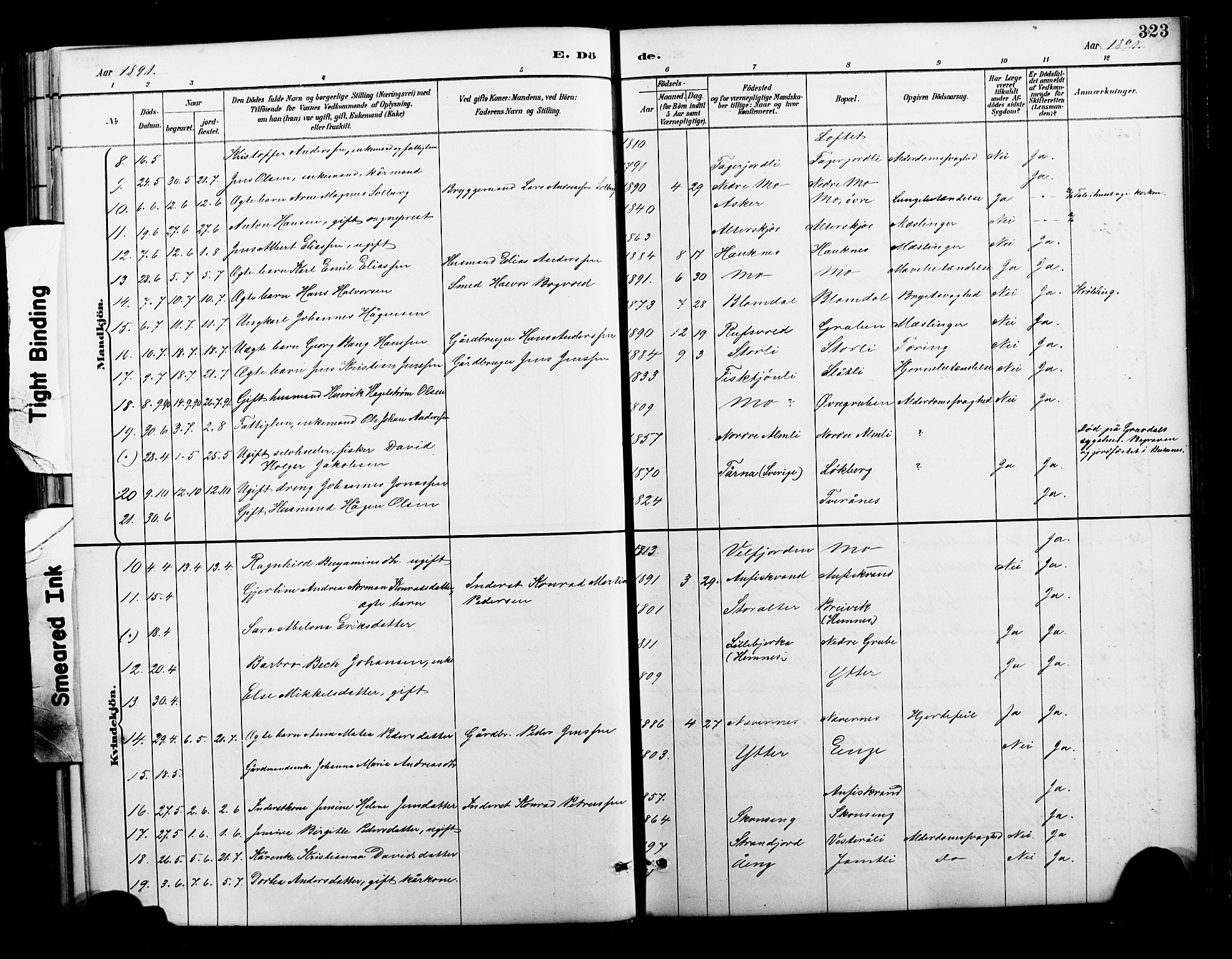 Ministerialprotokoller, klokkerbøker og fødselsregistre - Nordland, AV/SAT-A-1459/827/L0421: Parish register (copy) no. 827C10, 1887-1906, p. 323