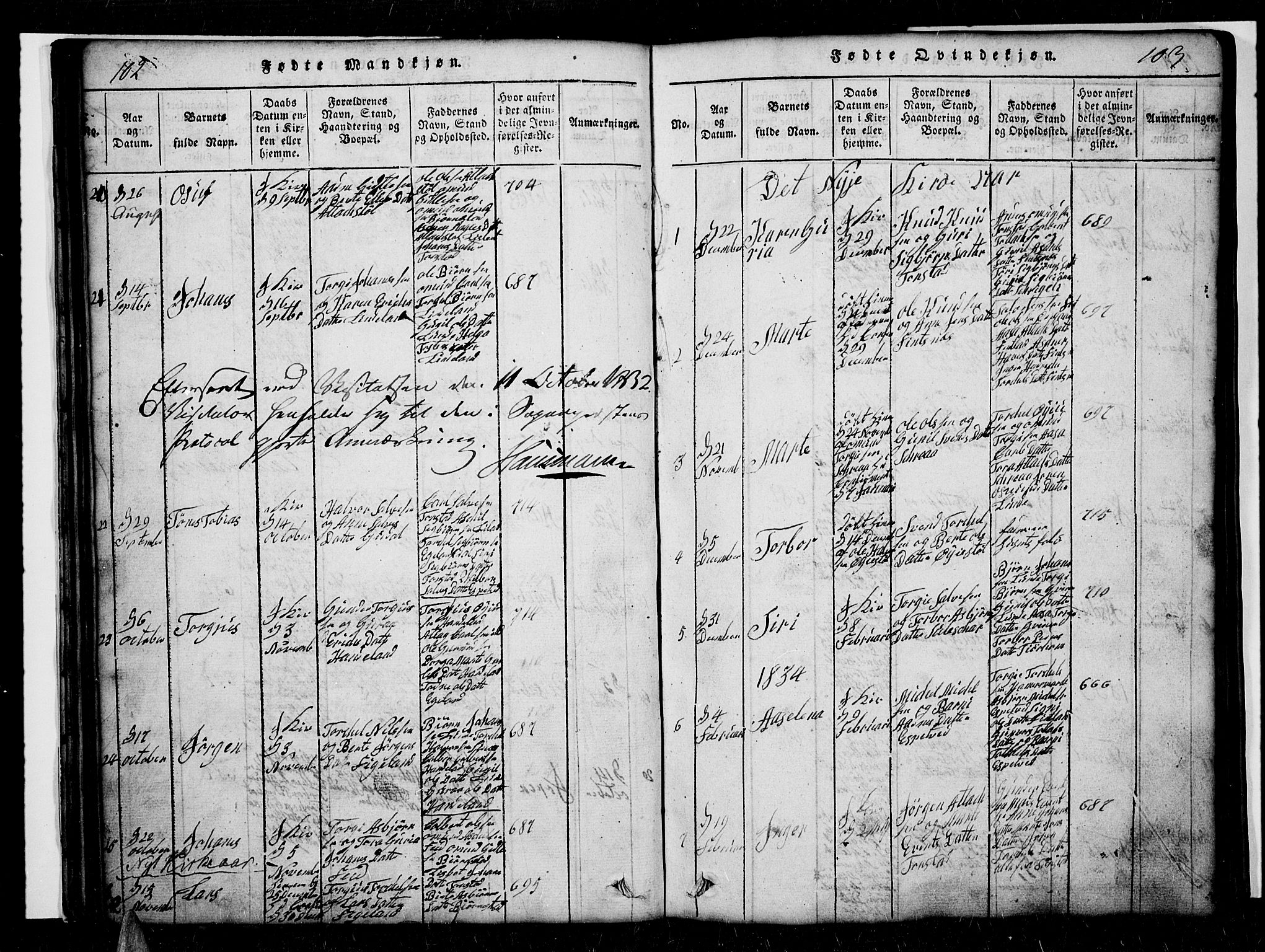 Sirdal sokneprestkontor, SAK/1111-0036/F/Fb/Fbb/L0001: Parish register (copy) no. B 1, 1815-1834, p. 102-103