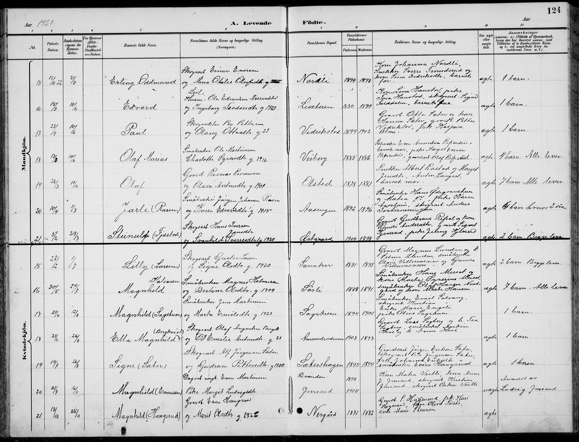 Romedal prestekontor, AV/SAH-PREST-004/L/L0013: Parish register (copy) no. 13, 1896-1937, p. 124