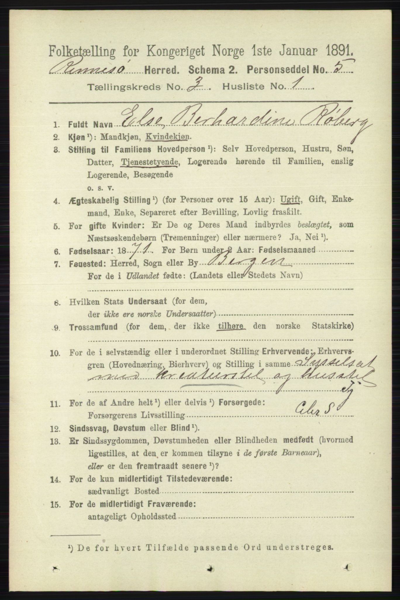 RA, 1891 census for 1142 Rennesøy, 1891, p. 993