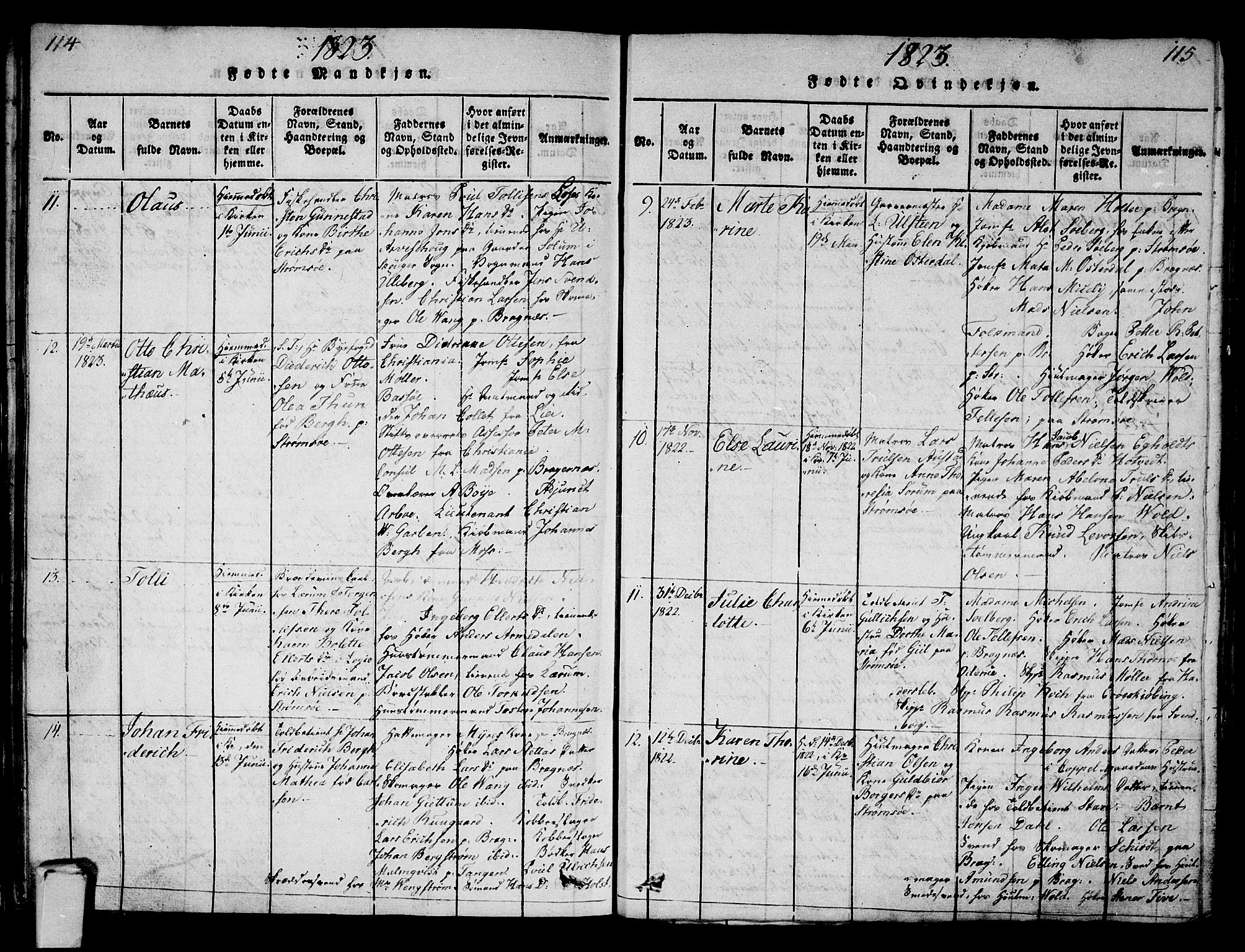 Strømsø kirkebøker, AV/SAKO-A-246/G/Ga/L0001: Parish register (copy) no. 1, 1815-1829, p. 114-115