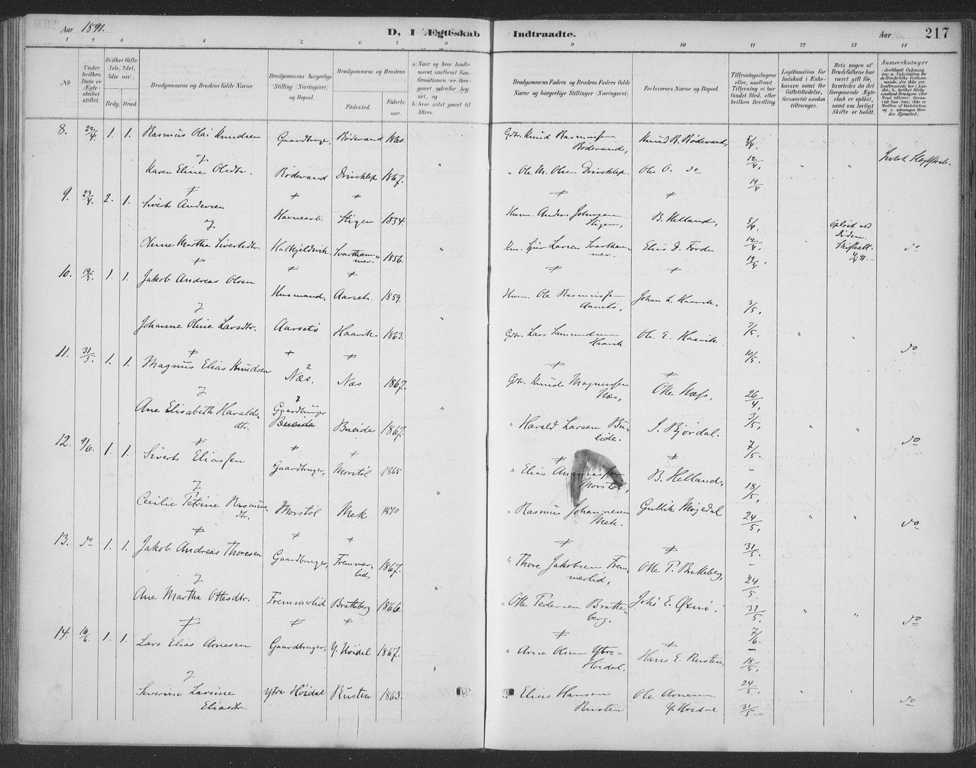 Ministerialprotokoller, klokkerbøker og fødselsregistre - Møre og Romsdal, AV/SAT-A-1454/511/L0142: Parish register (official) no. 511A09, 1891-1905, p. 217