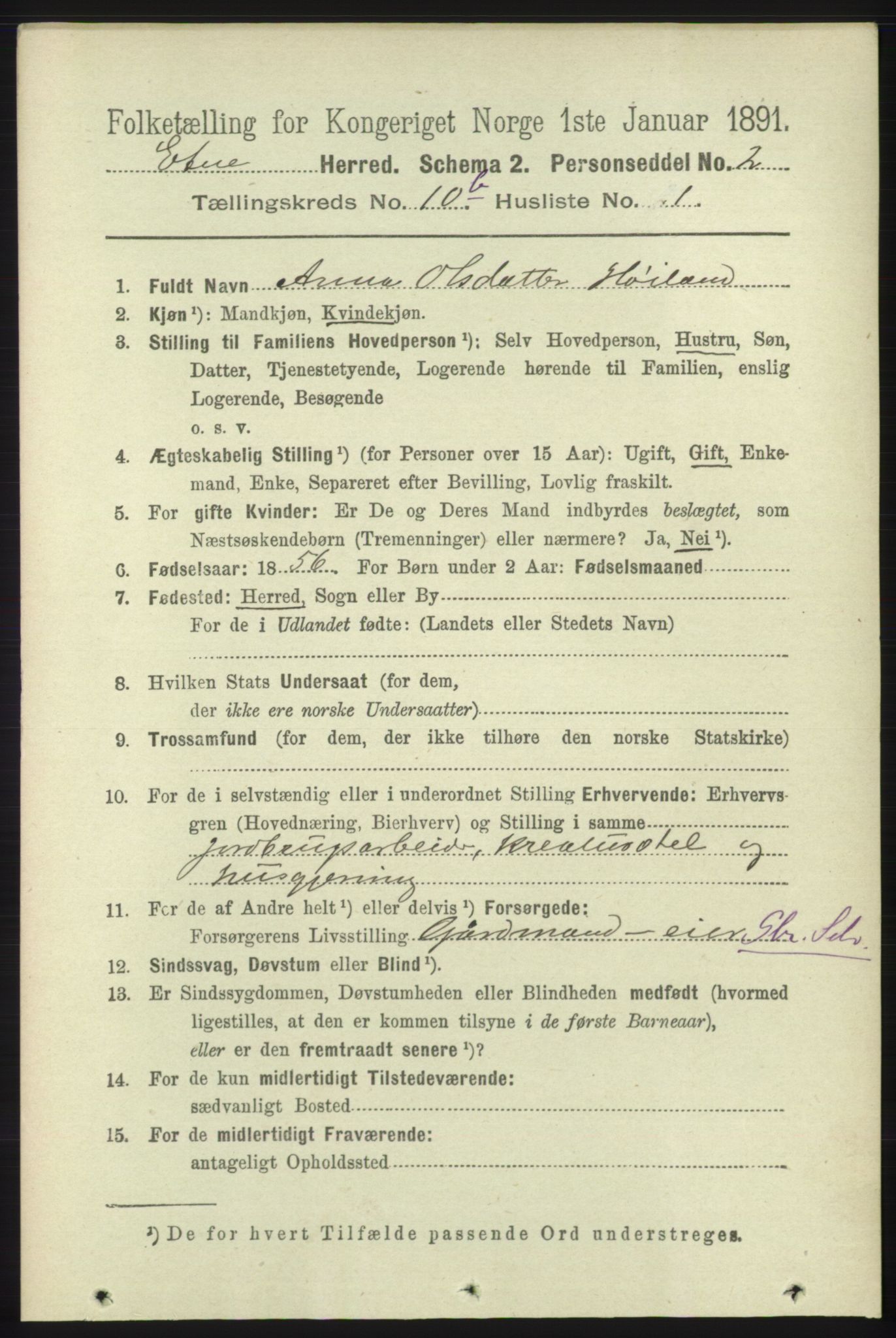 RA, 1891 census for 1211 Etne, 1891, p. 2005