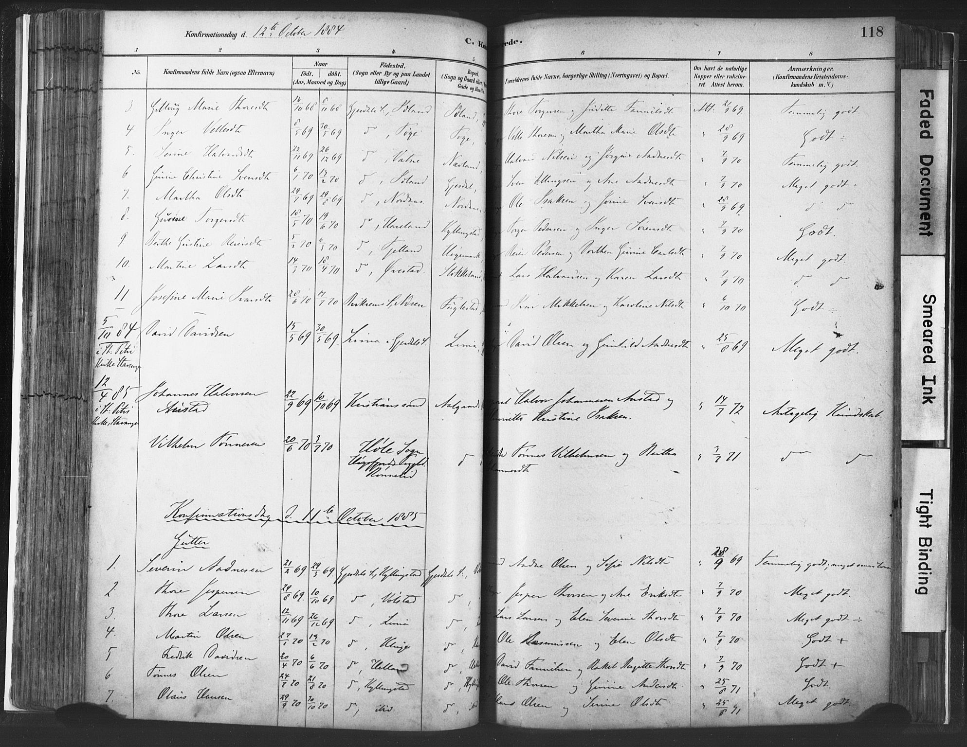 Lye sokneprestkontor, SAST/A-101794/001/30BA/L0010: Parish register (official) no. A 10, 1881-1896, p. 118