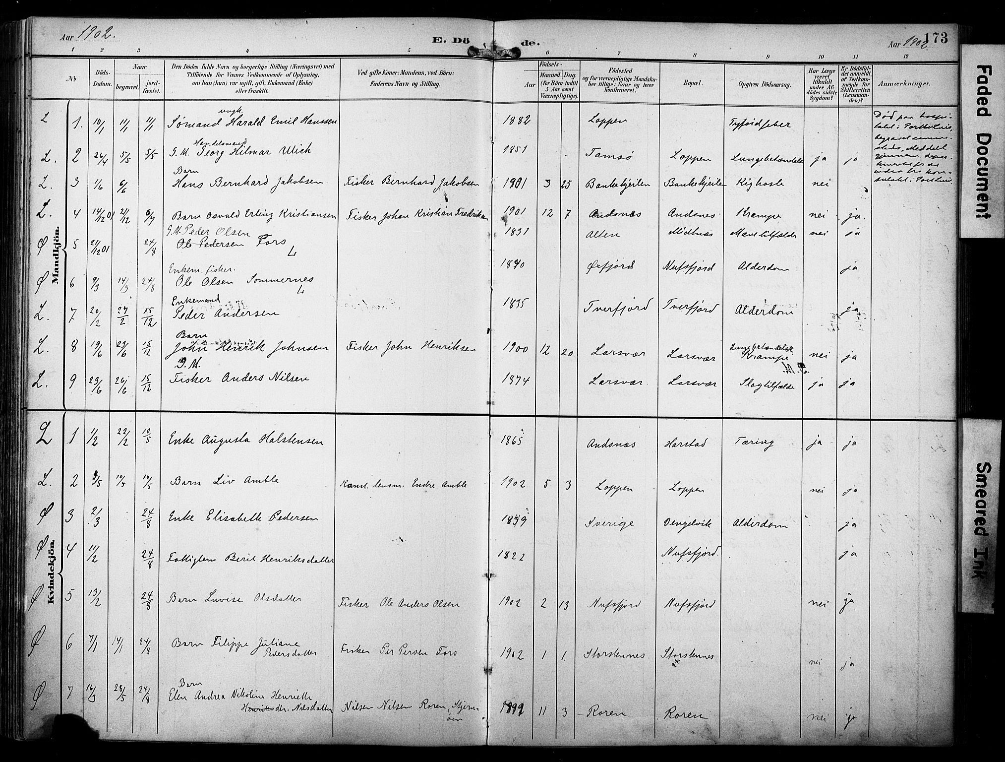 Loppa sokneprestkontor, SATØ/S-1339/H/Ha/L0009kirke: Parish register (official) no. 9, 1895-1909, p. 173