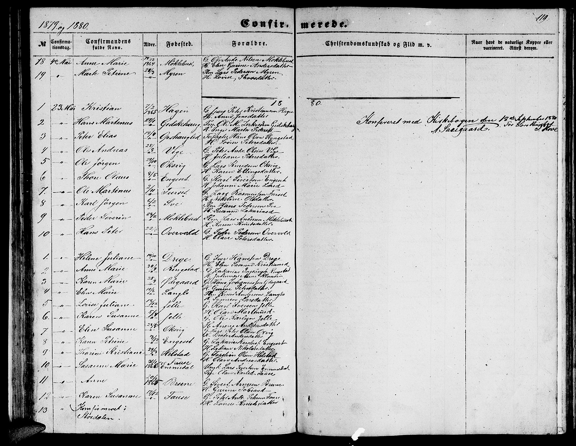Ministerialprotokoller, klokkerbøker og fødselsregistre - Møre og Romsdal, AV/SAT-A-1454/520/L0291: Parish register (copy) no. 520C03, 1854-1881, p. 119