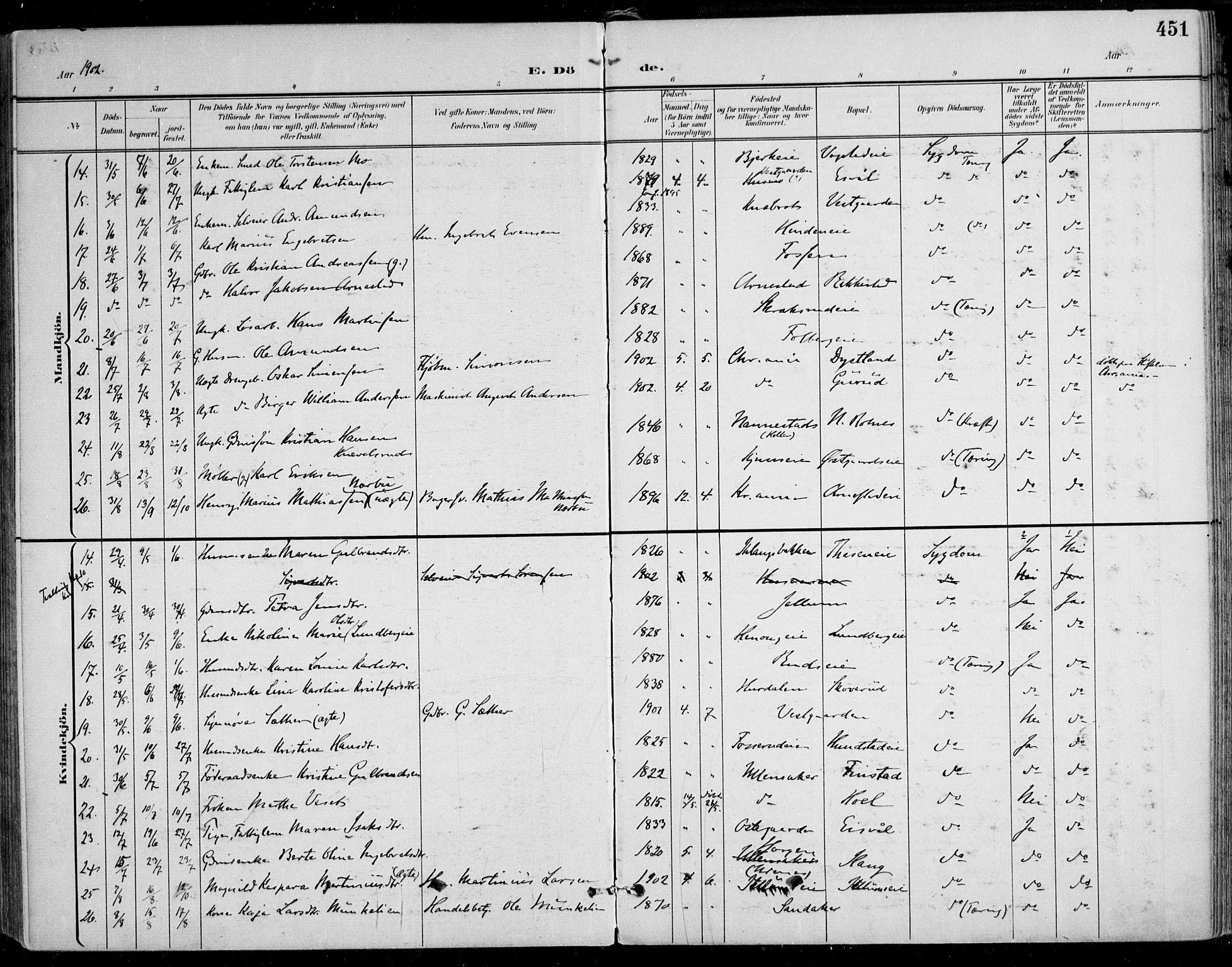 Nes prestekontor Kirkebøker, SAO/A-10410/F/Fa/L0011: Parish register (official) no. I 11, 1899-1918, p. 451