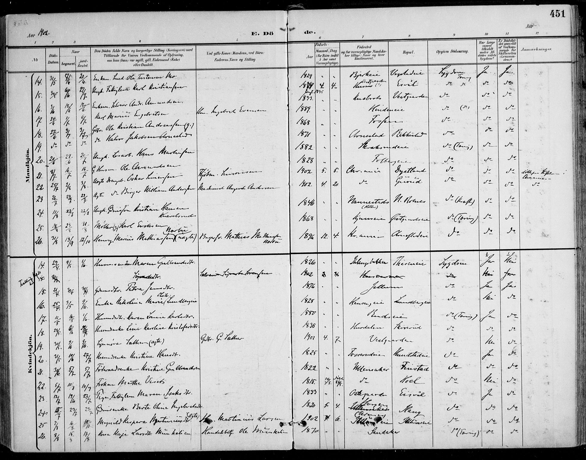 Nes prestekontor Kirkebøker, AV/SAO-A-10410/F/Fa/L0011: Parish register (official) no. I 11, 1899-1918, p. 451