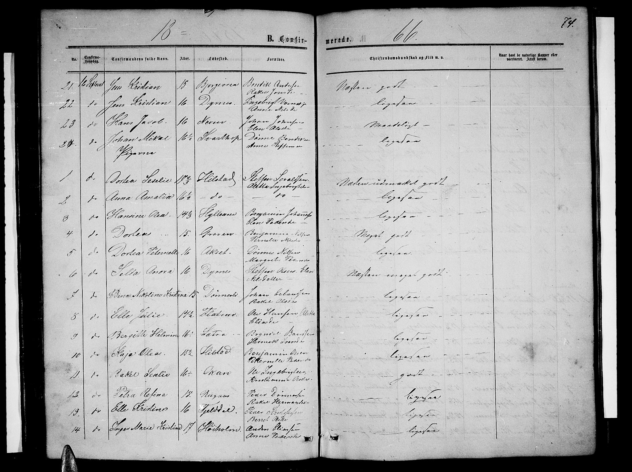 Ministerialprotokoller, klokkerbøker og fødselsregistre - Nordland, AV/SAT-A-1459/814/L0229: Parish register (copy) no. 814C02, 1859-1883, p. 74