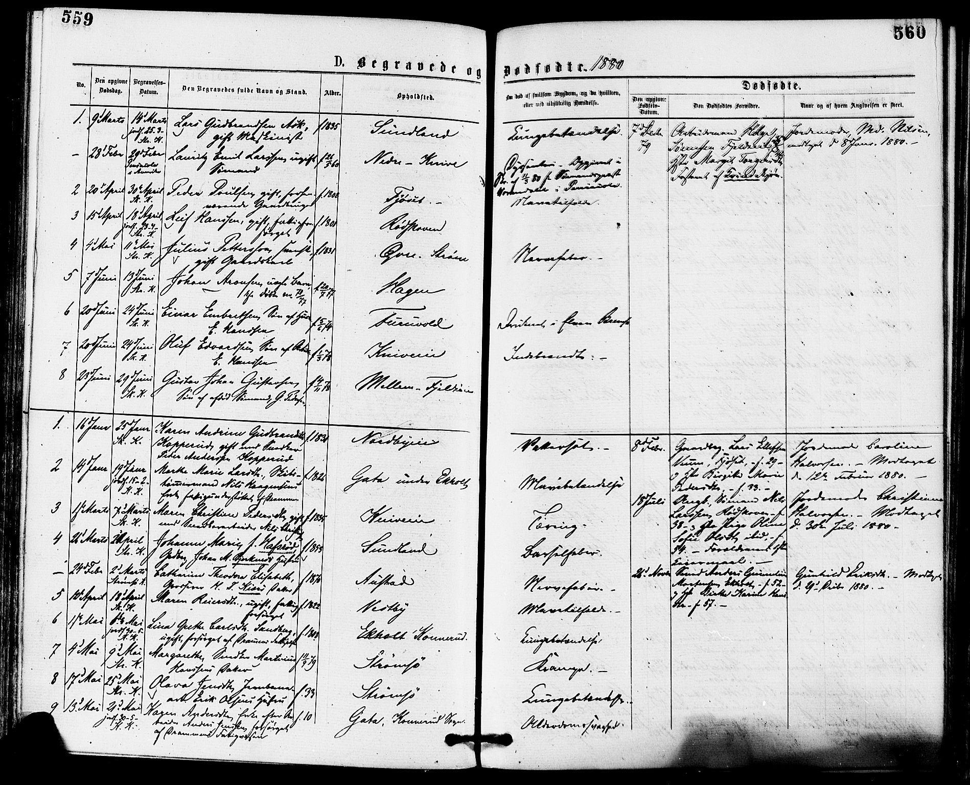 Skoger kirkebøker, AV/SAKO-A-59/F/Fa/L0005: Parish register (official) no. I 5, 1873-1884, p. 559-560