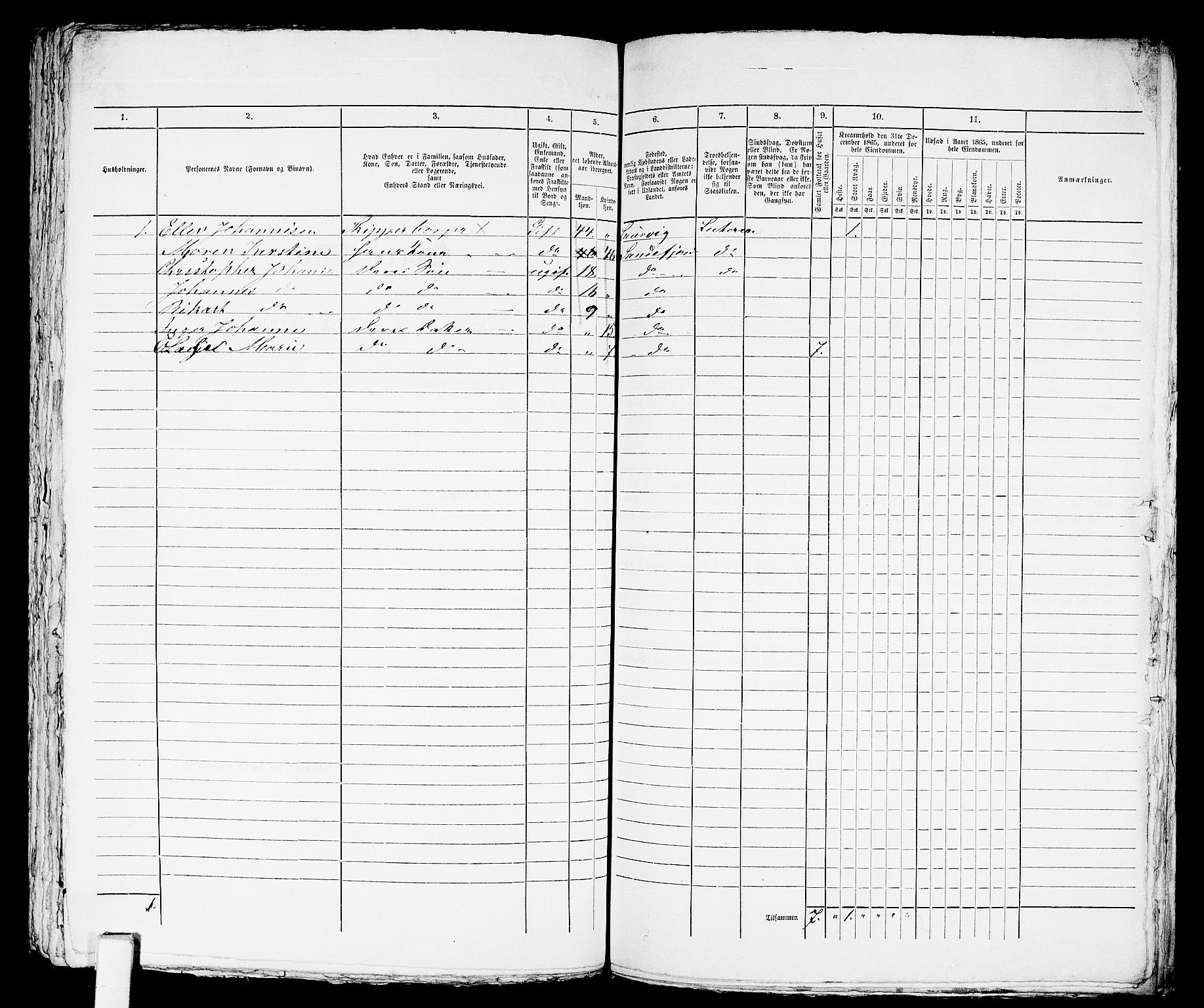 RA, 1865 census for Sandeherred/Sandefjord, 1865, p. 294