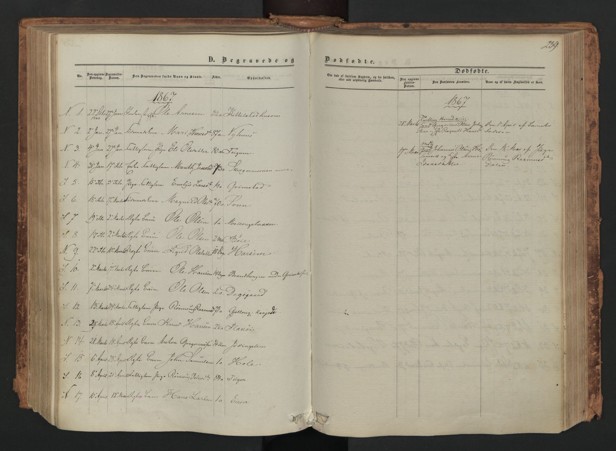 Skjåk prestekontor, SAH/PREST-072/H/Ha/Haa/L0001: Parish register (official) no. 1, 1863-1879, p. 239