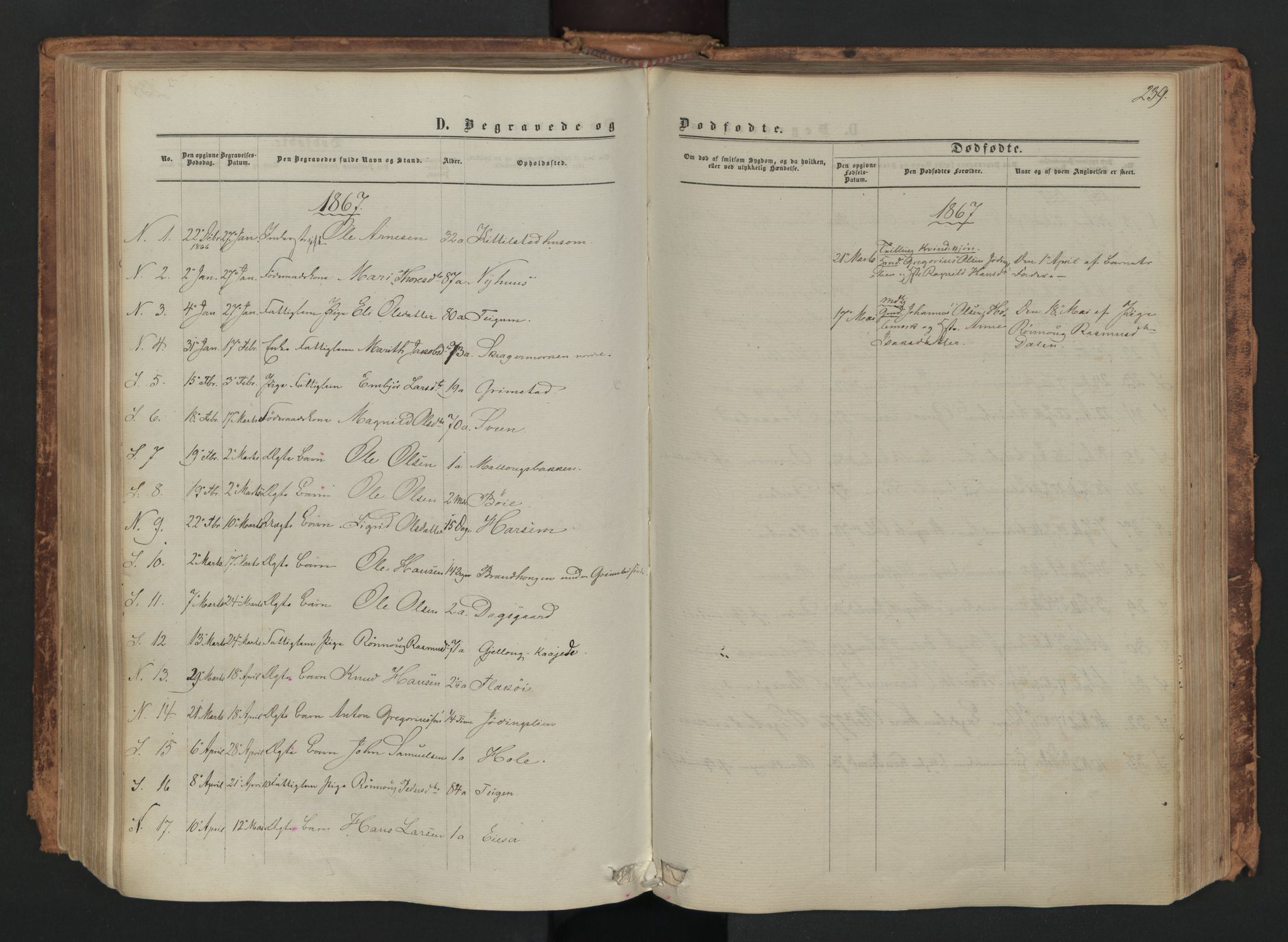 Skjåk prestekontor, AV/SAH-PREST-072/H/Ha/Haa/L0001: Parish register (official) no. 1, 1863-1879, p. 239