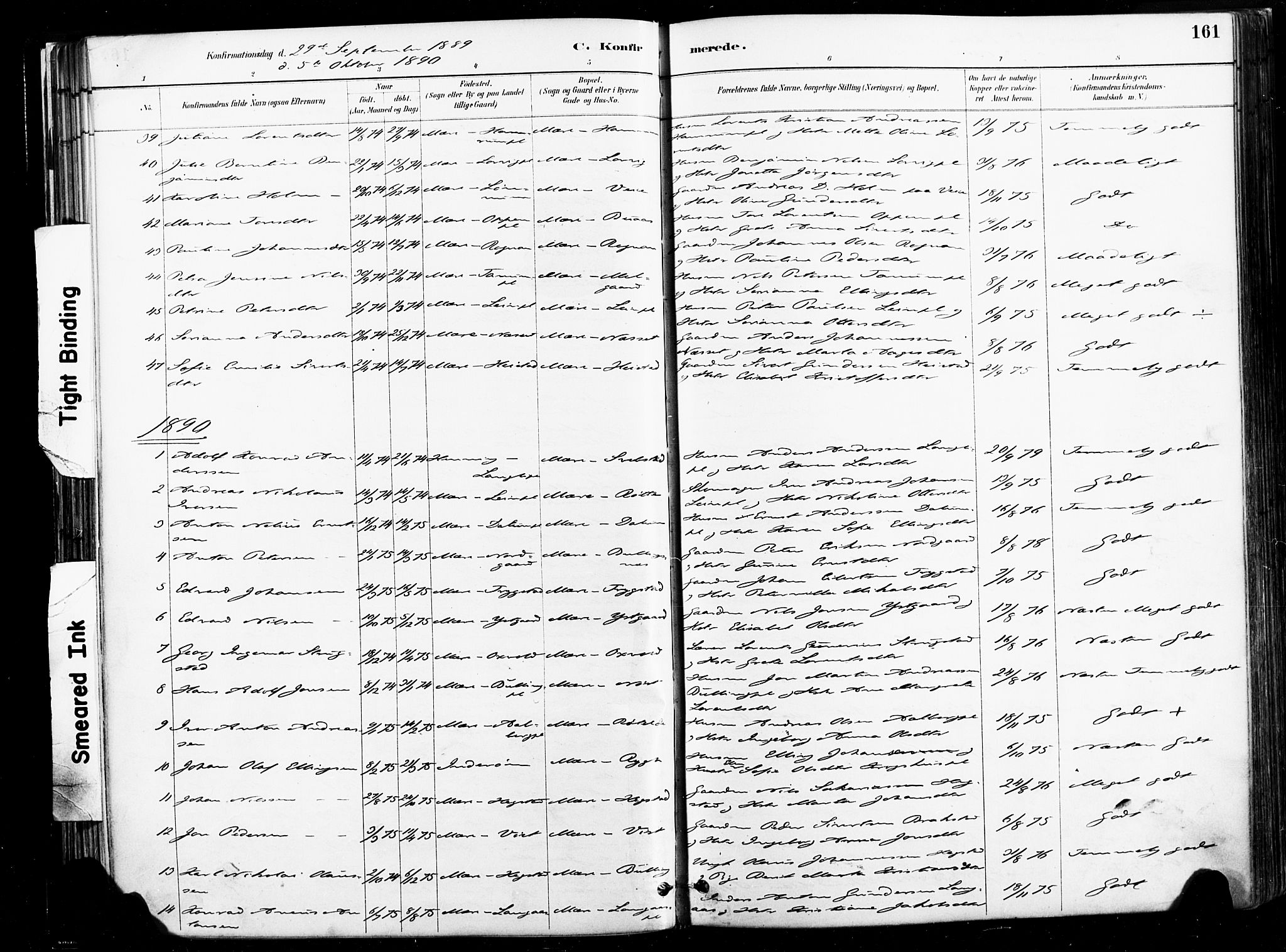 Ministerialprotokoller, klokkerbøker og fødselsregistre - Nord-Trøndelag, SAT/A-1458/735/L0351: Parish register (official) no. 735A10, 1884-1908, p. 161