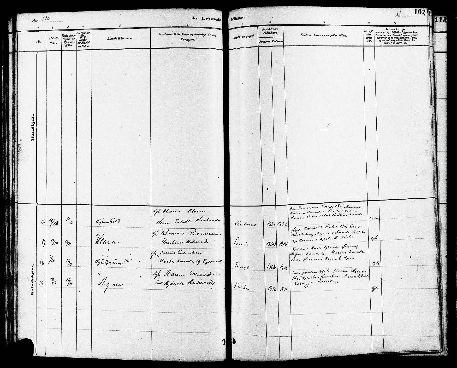 Hetland sokneprestkontor, SAST/A-101826/30/30BB/L0006: Parish register (copy) no. B 6, 1878-1921, p. 102