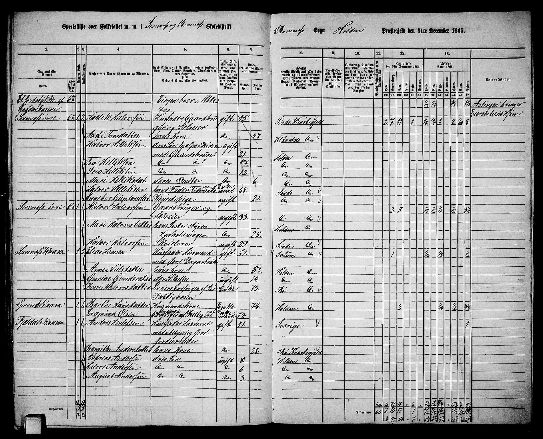 RA, 1865 census for Holla, 1865, p. 147