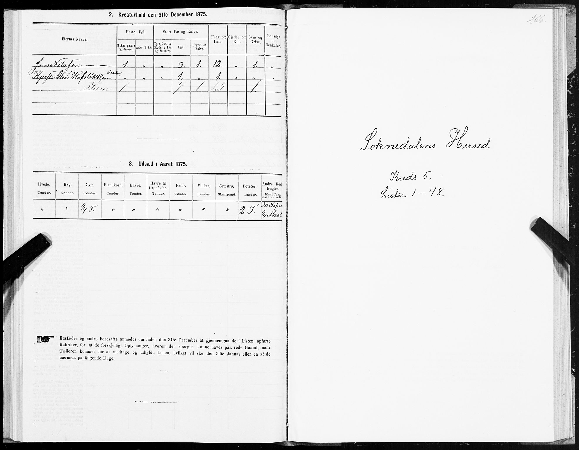 SAT, 1875 census for 1648P Støren, 1875, p. 8266