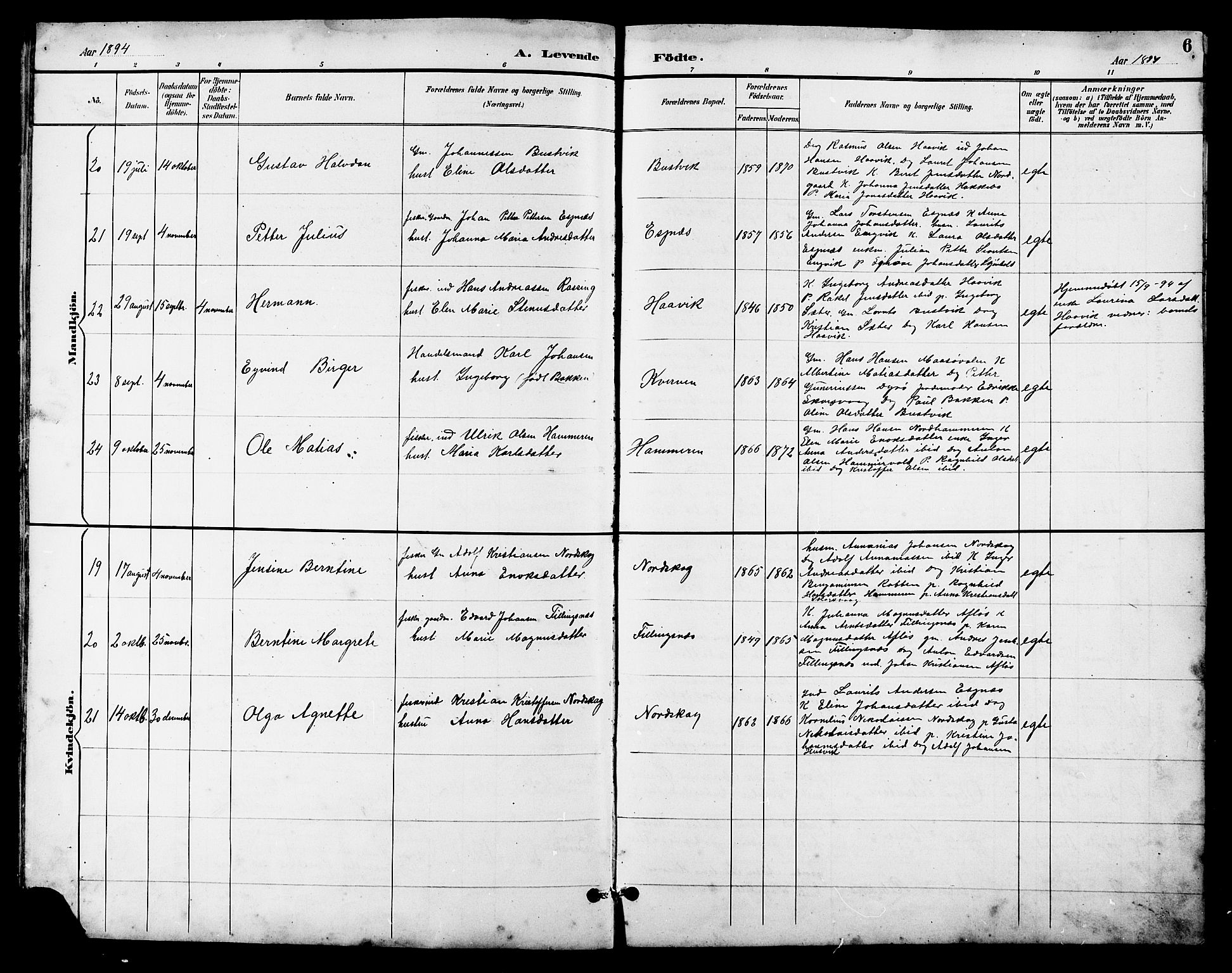 Ministerialprotokoller, klokkerbøker og fødselsregistre - Sør-Trøndelag, SAT/A-1456/641/L0598: Parish register (copy) no. 641C02, 1893-1910, p. 6