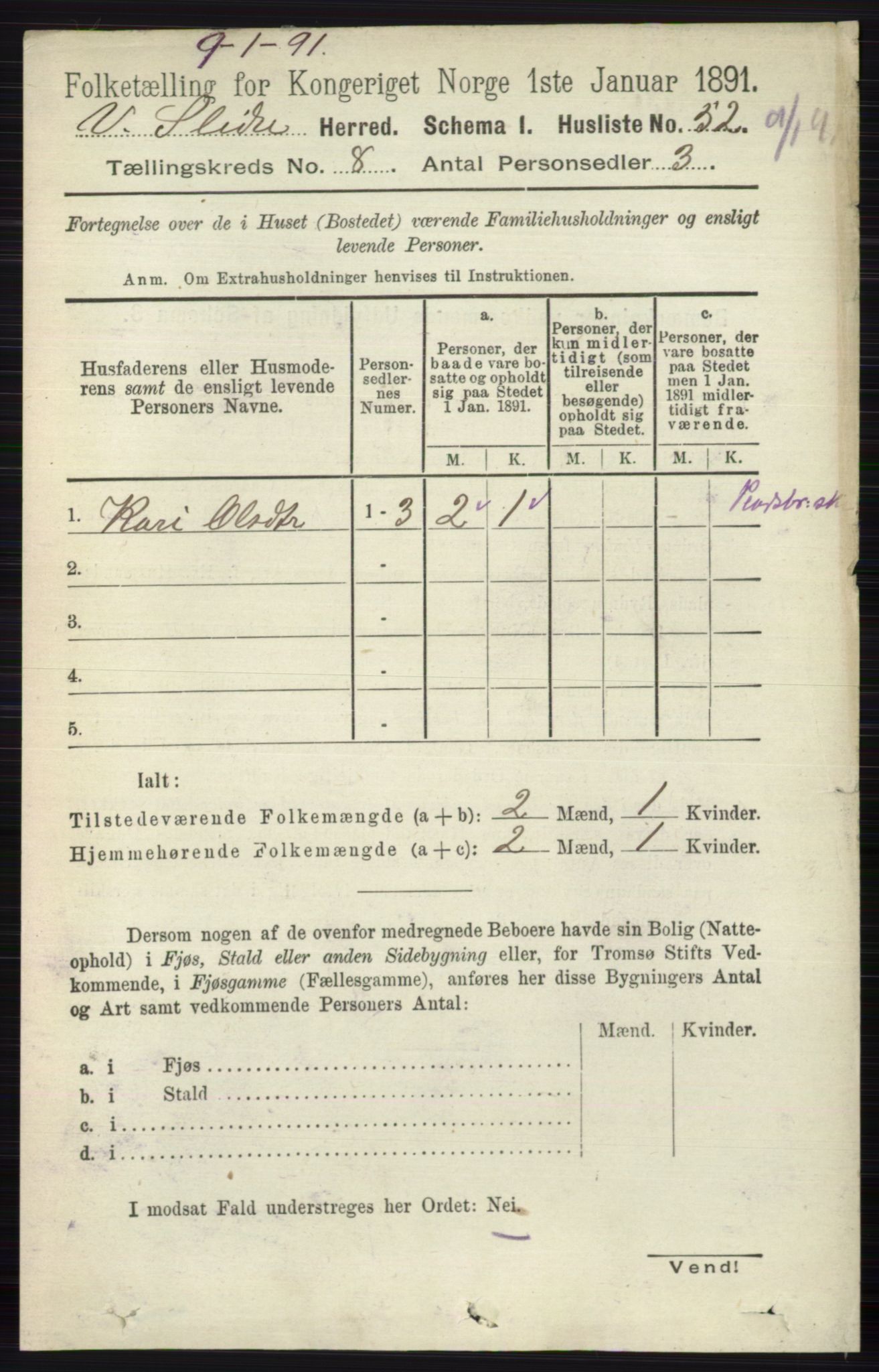 RA, 1891 census for 0543 Vestre Slidre, 1891, p. 2981