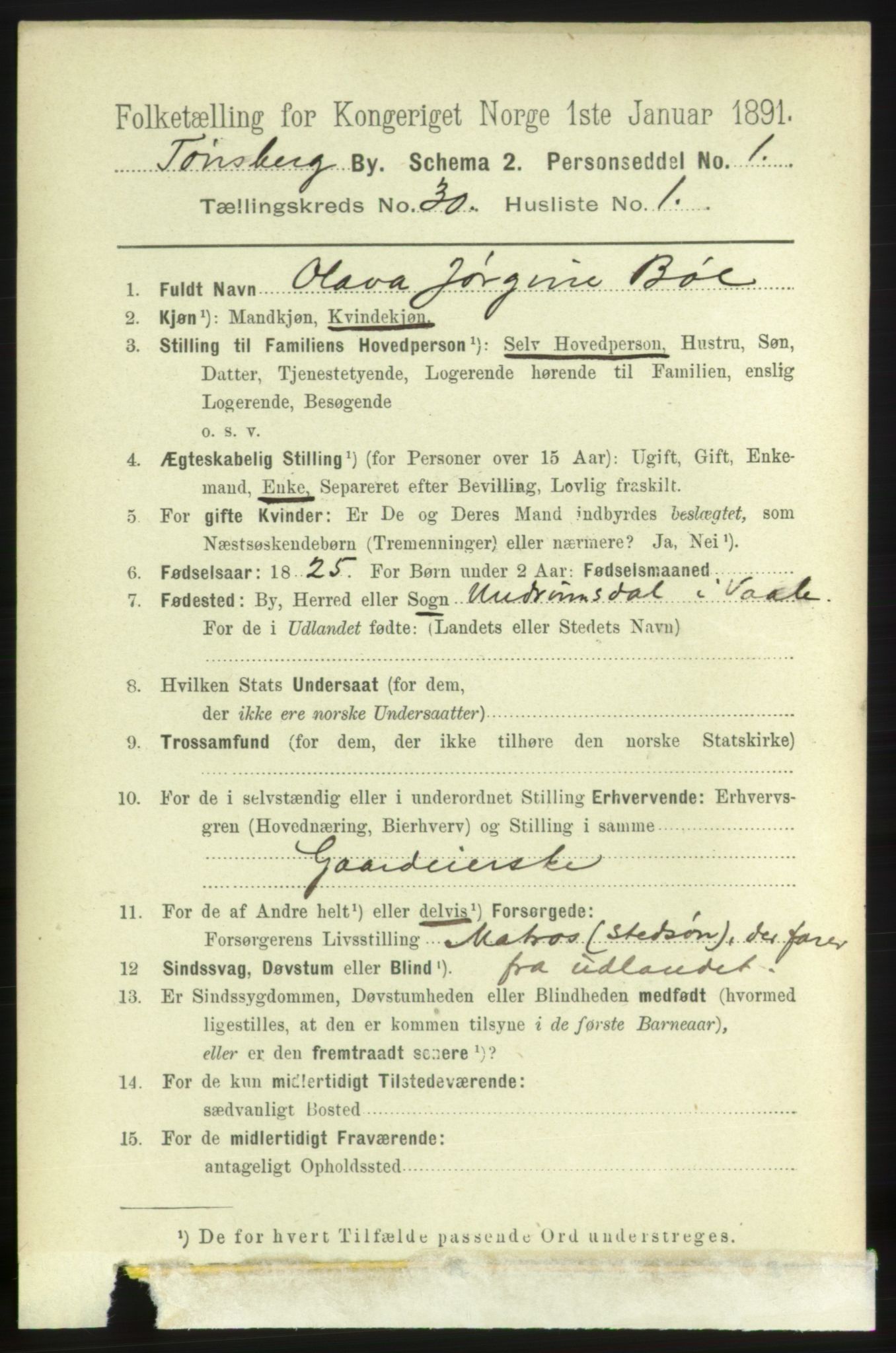 RA, 1891 census for 0705 Tønsberg, 1891, p. 7209