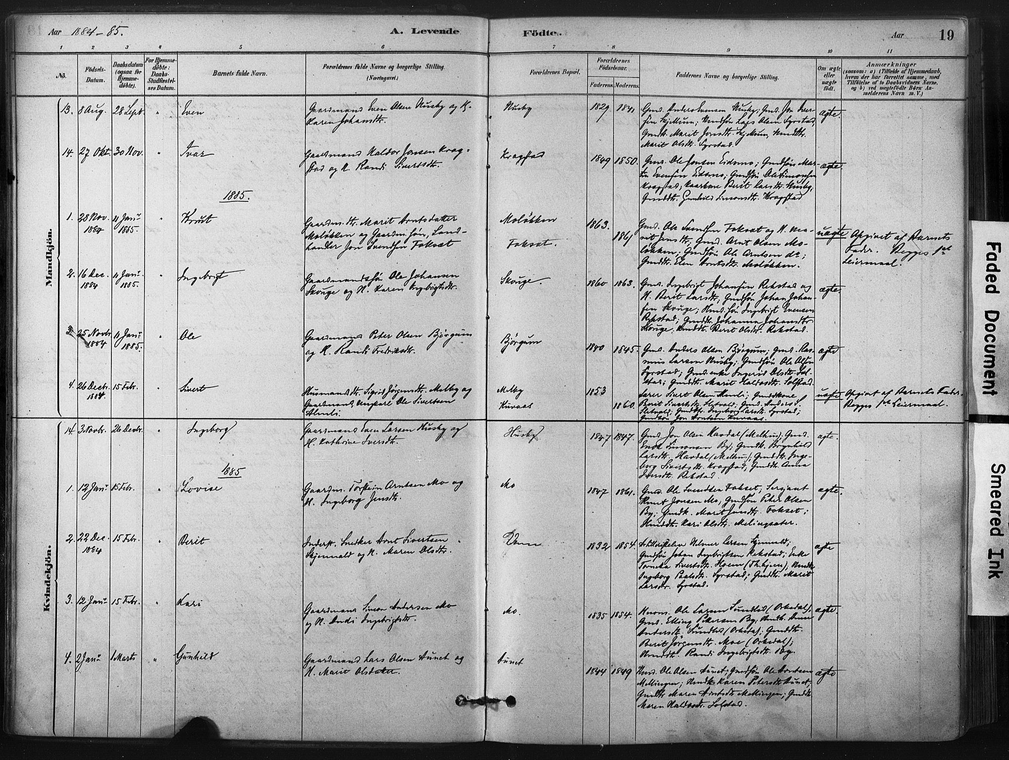 Ministerialprotokoller, klokkerbøker og fødselsregistre - Sør-Trøndelag, SAT/A-1456/667/L0795: Parish register (official) no. 667A03, 1879-1907, p. 19