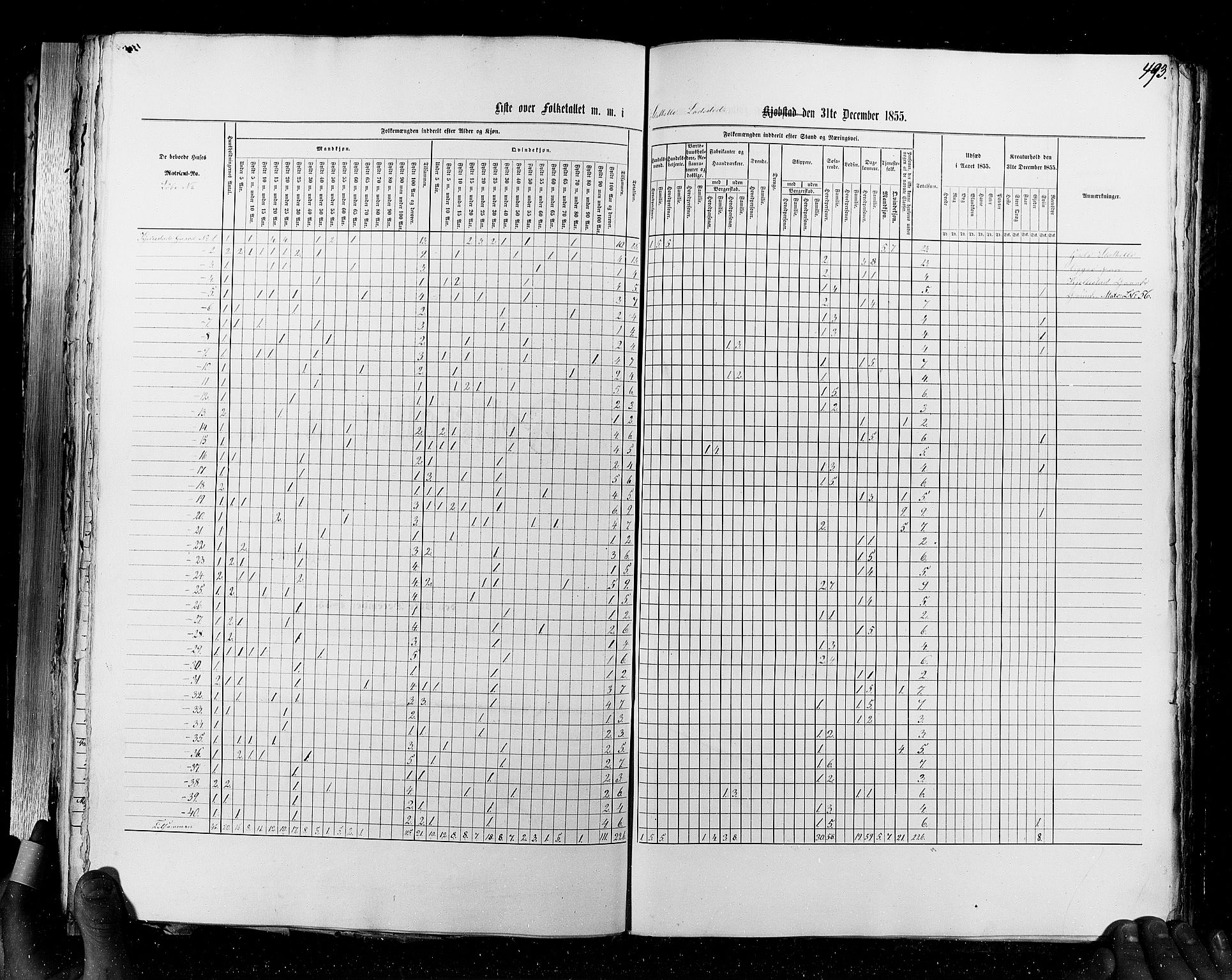 RA, Census 1855, vol. 7: Fredrikshald-Kragerø, 1855, p. 493