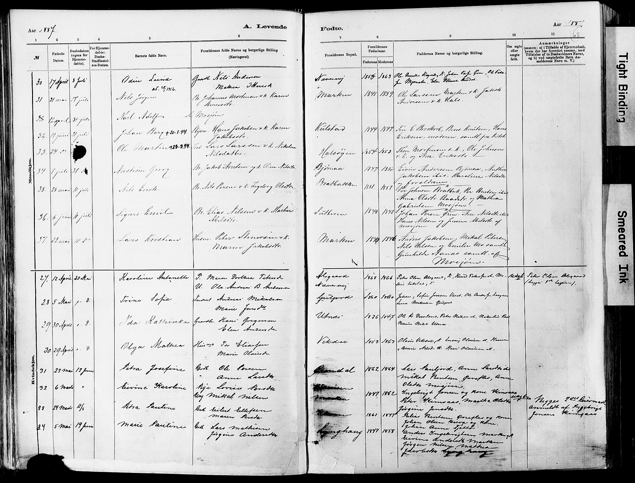 Ministerialprotokoller, klokkerbøker og fødselsregistre - Nordland, SAT/A-1459/820/L0295: Parish register (official) no. 820A16, 1880-1896, p. 65