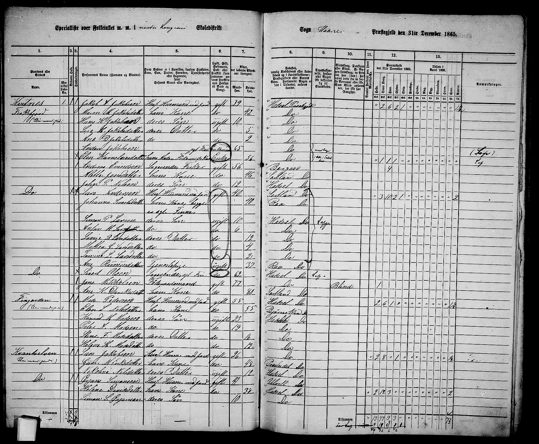 RA, 1865 census for Hadsel, 1865, p. 29