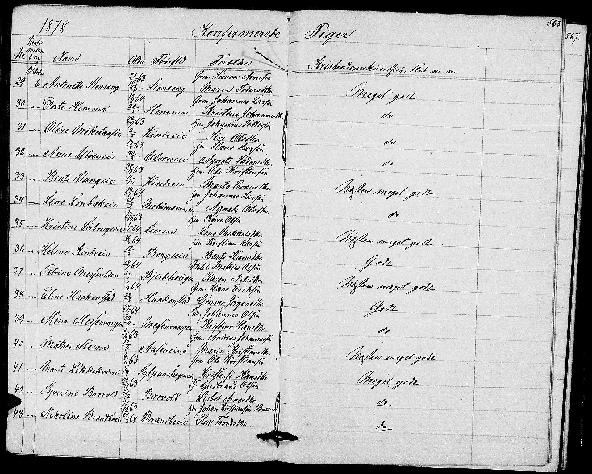 Ringsaker prestekontor, AV/SAH-PREST-014/L/La/L0008: Parish register (copy) no. 8, 1870-1878, p. 563