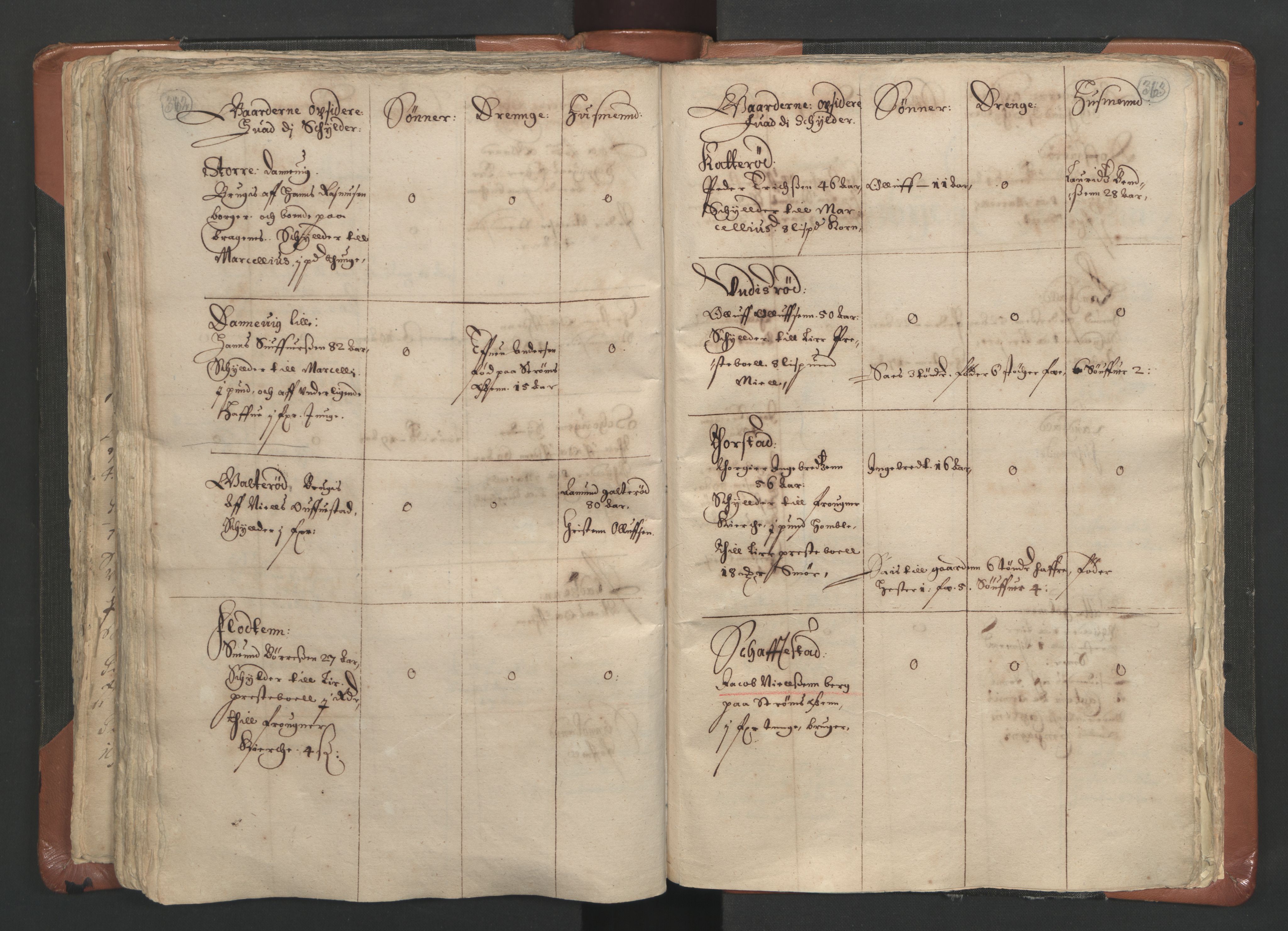 RA, Vicar's Census 1664-1666, no. 9: Bragernes deanery, 1664-1666, p. 362-363
