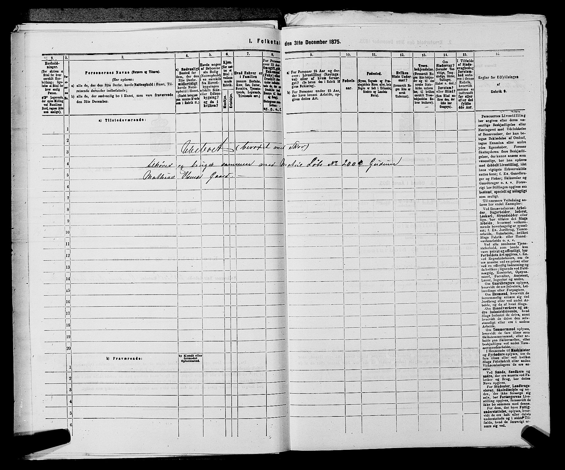 SAKO, 1875 census for 0715P Botne, 1875, p. 741