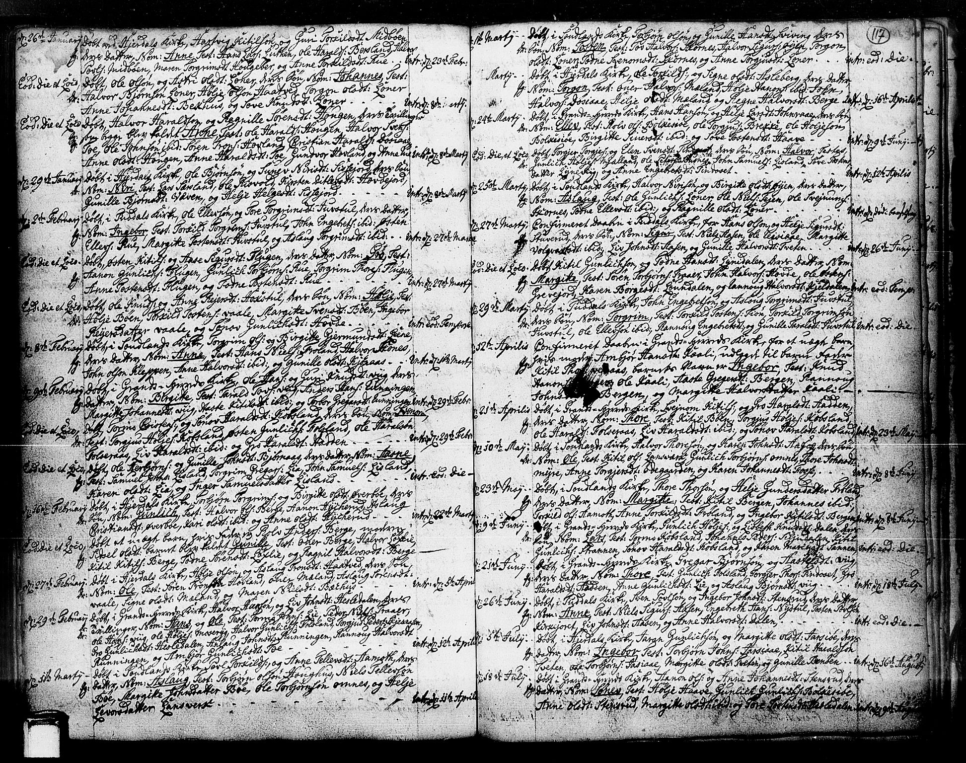 Hjartdal kirkebøker, SAKO/A-270/F/Fa/L0003: Parish register (official) no. I 3, 1727-1775, p. 117
