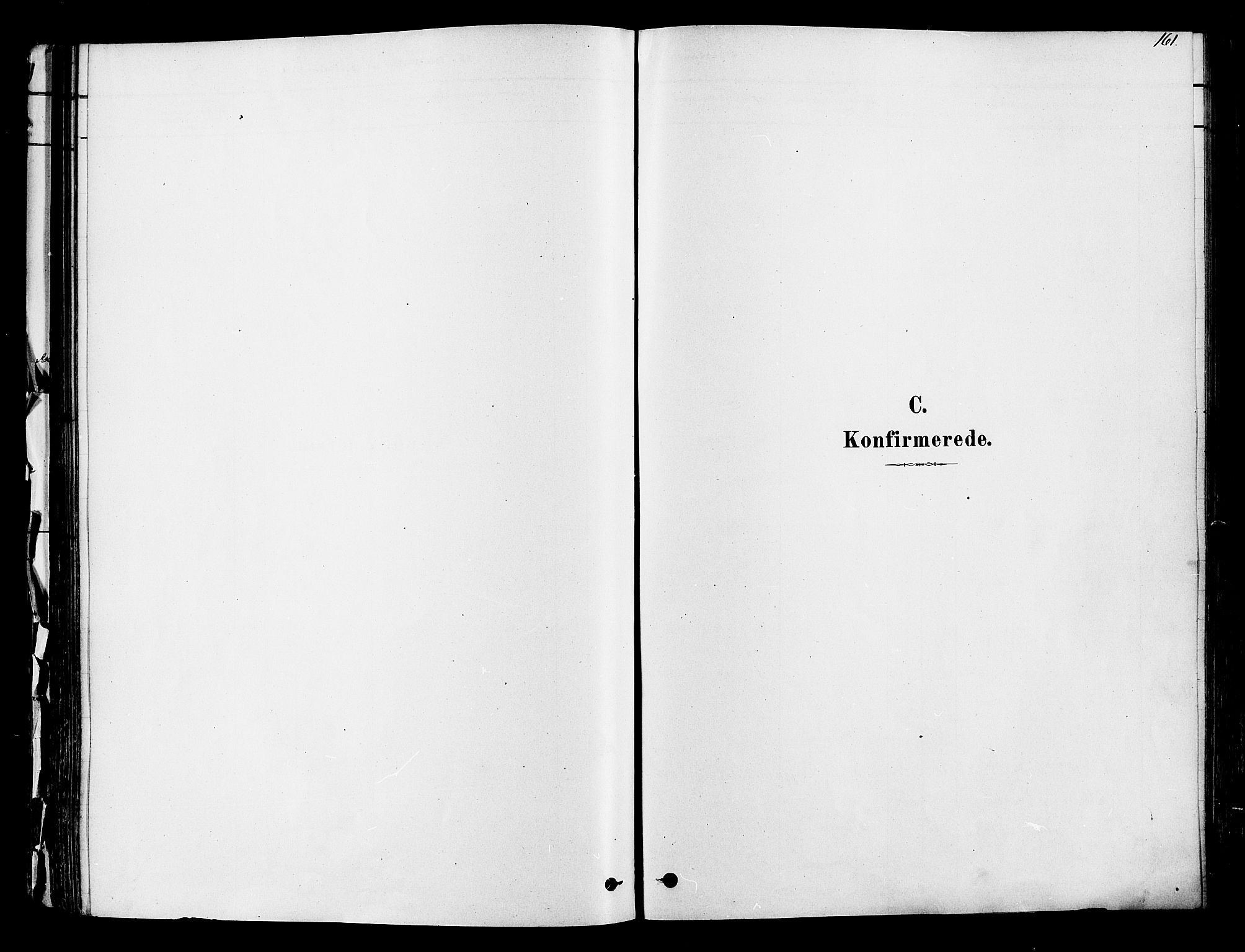 Ringsaker prestekontor, SAH/PREST-014/K/Ka/L0012: Parish register (official) no. 12, 1879-1890, p. 161