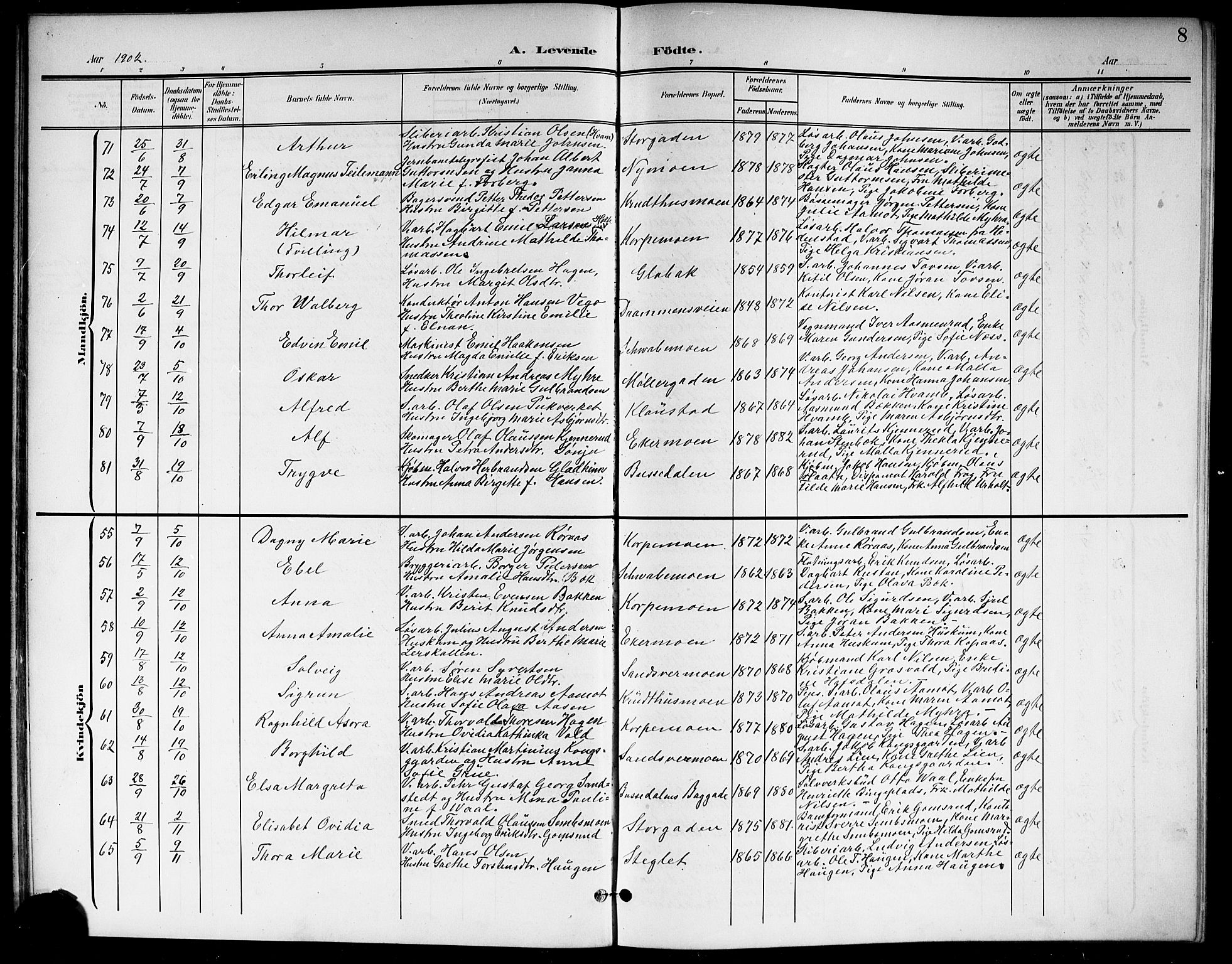 Kongsberg kirkebøker, SAKO/A-22/G/Ga/L0007: Parish register (copy) no. 7, 1901-1915, p. 8
