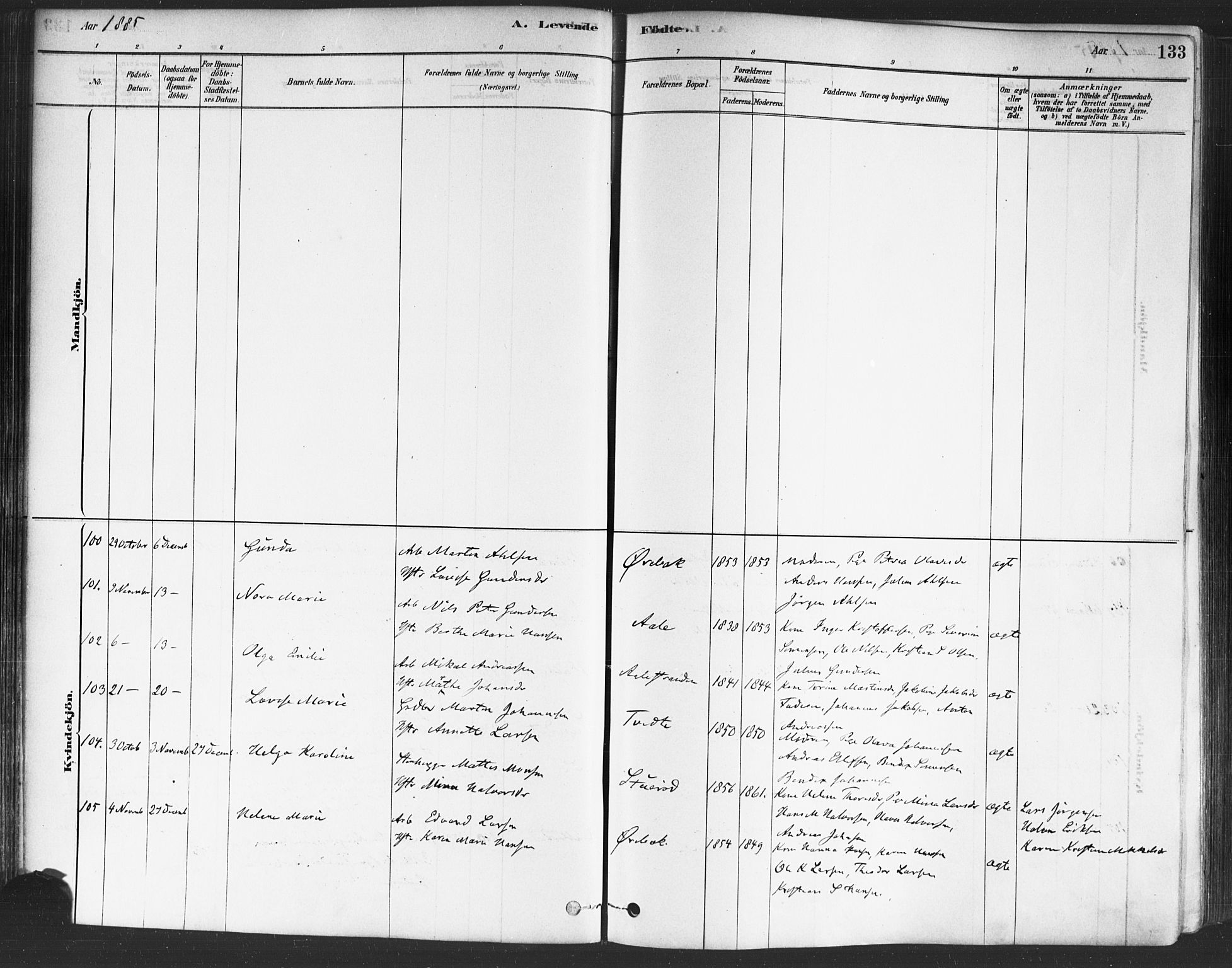 Onsøy prestekontor Kirkebøker, AV/SAO-A-10914/F/Fa/L0005: Parish register (official) no. I 5, 1878-1898, p. 133