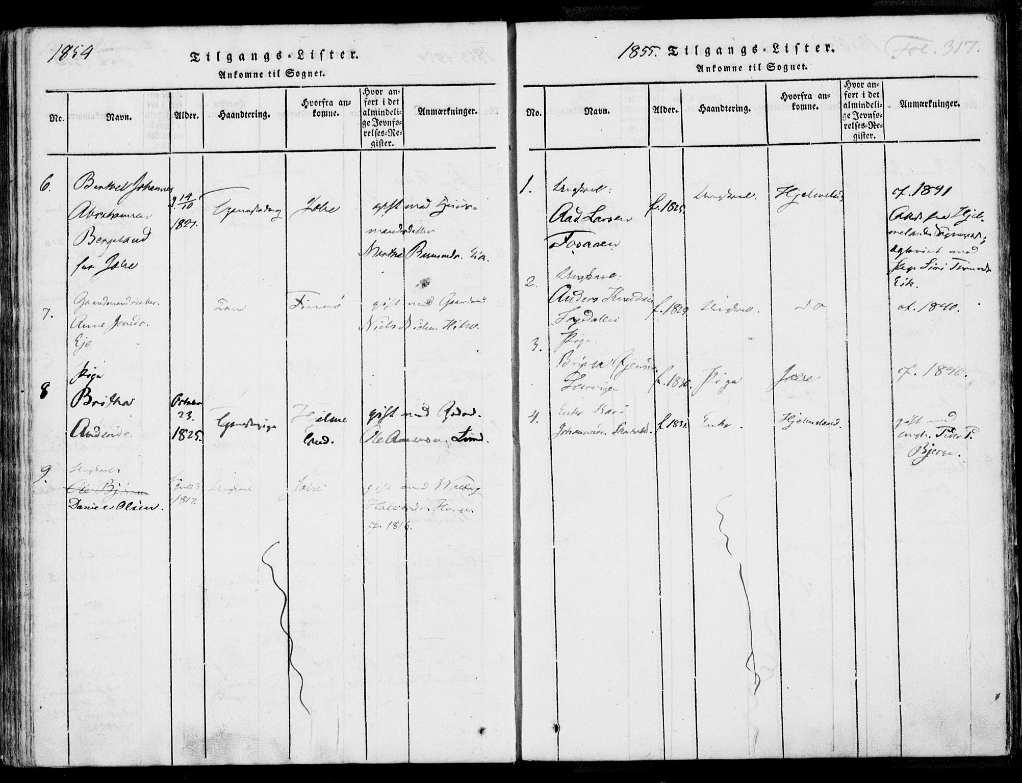 Nedstrand sokneprestkontor, AV/SAST-A-101841/01/IV: Parish register (official) no. A 7, 1816-1870, p. 317