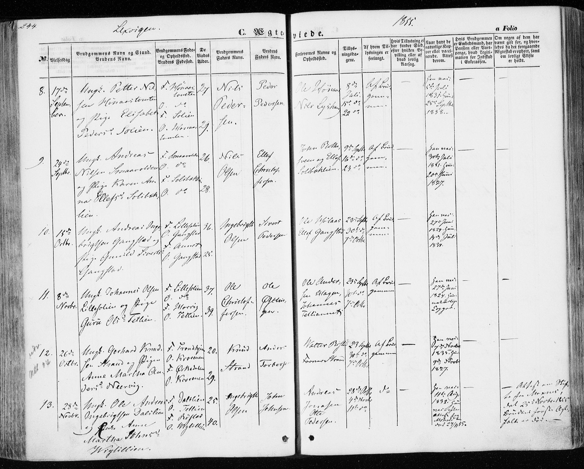 Ministerialprotokoller, klokkerbøker og fødselsregistre - Nord-Trøndelag, SAT/A-1458/701/L0008: Parish register (official) no. 701A08 /1, 1854-1863, p. 244